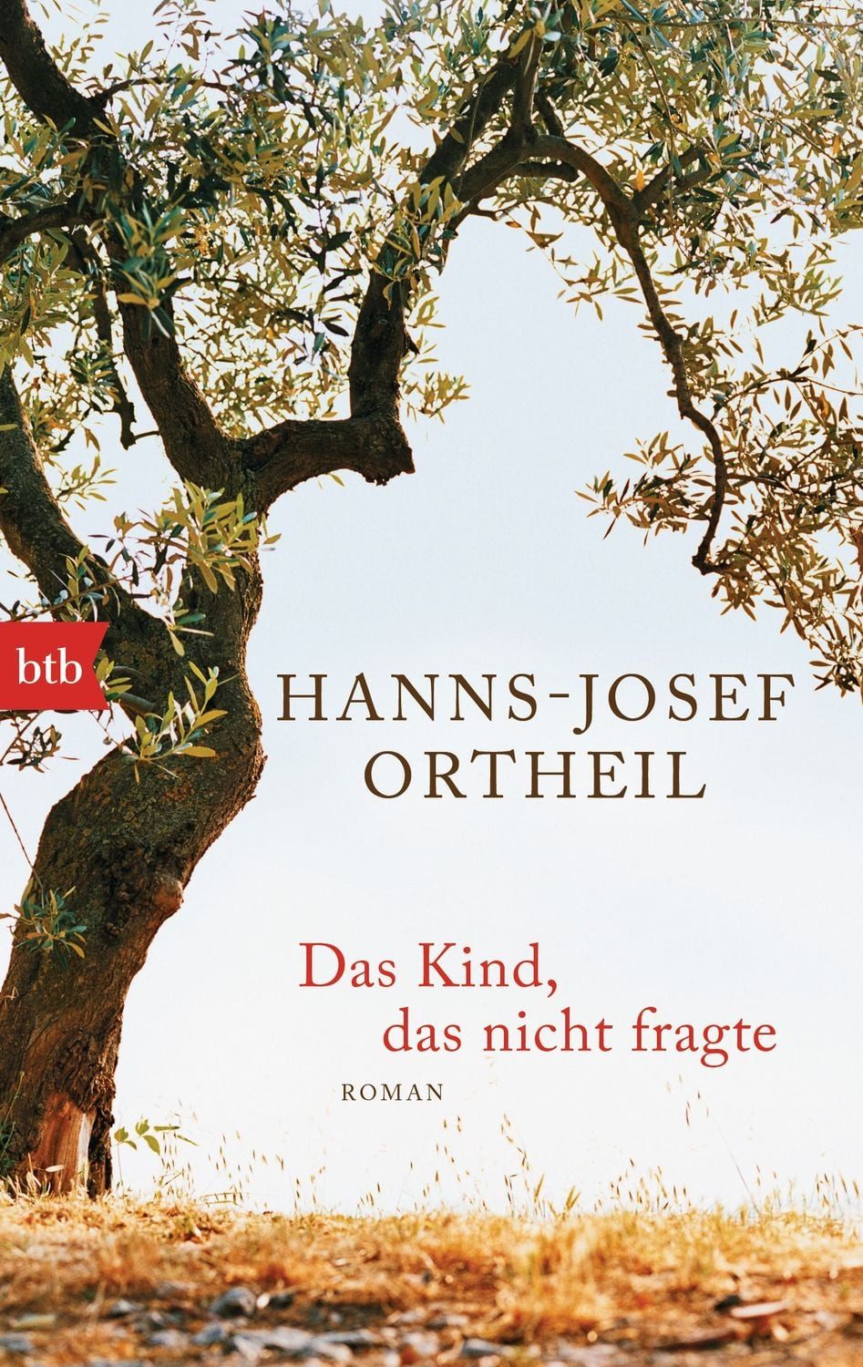Das Kind, das nicht fragte / Hanns-Josef Ortheil, Roman