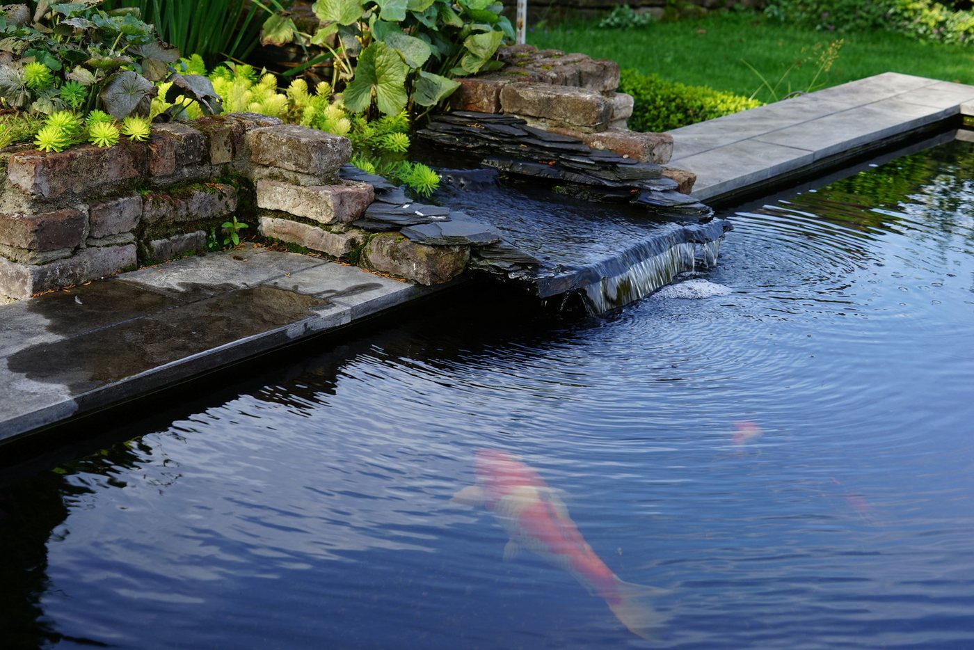 Thumbnail - Ubbink Teichfolie AquaLiner 4 x 4 m, 1 mm Stärke, (Packung, 1-St), für alle Teicharten, tier- und pflanzenfreundlich