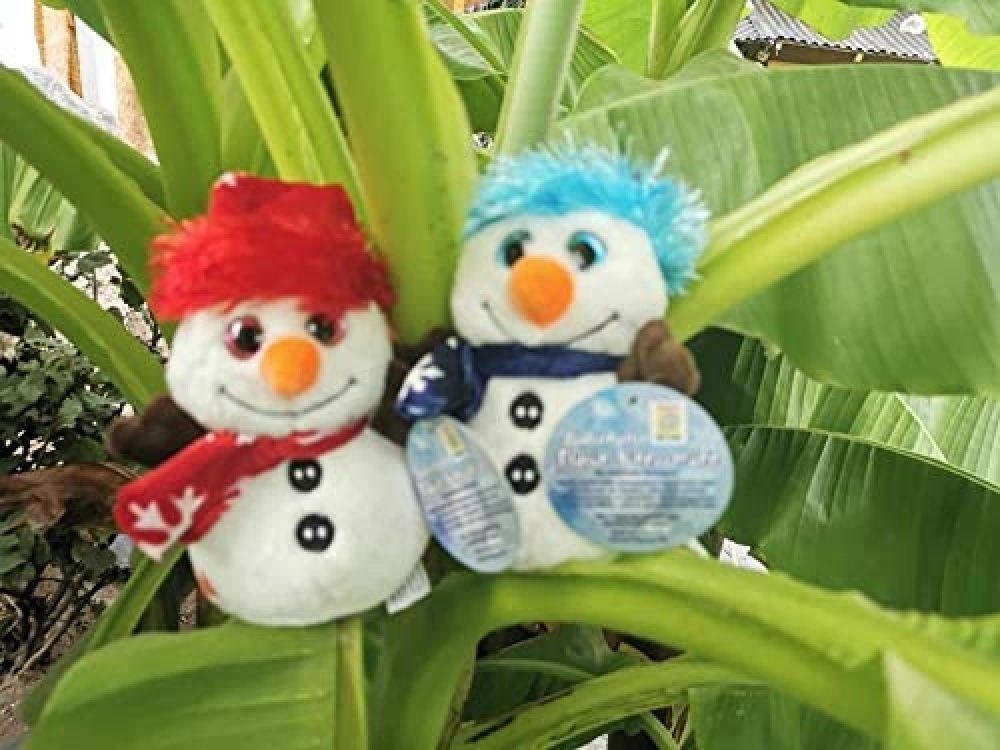 Luna24 simply great ideas... Schneemann Plüsch Schneemann Ole & Elfie, in rot und blau, 4er Set
