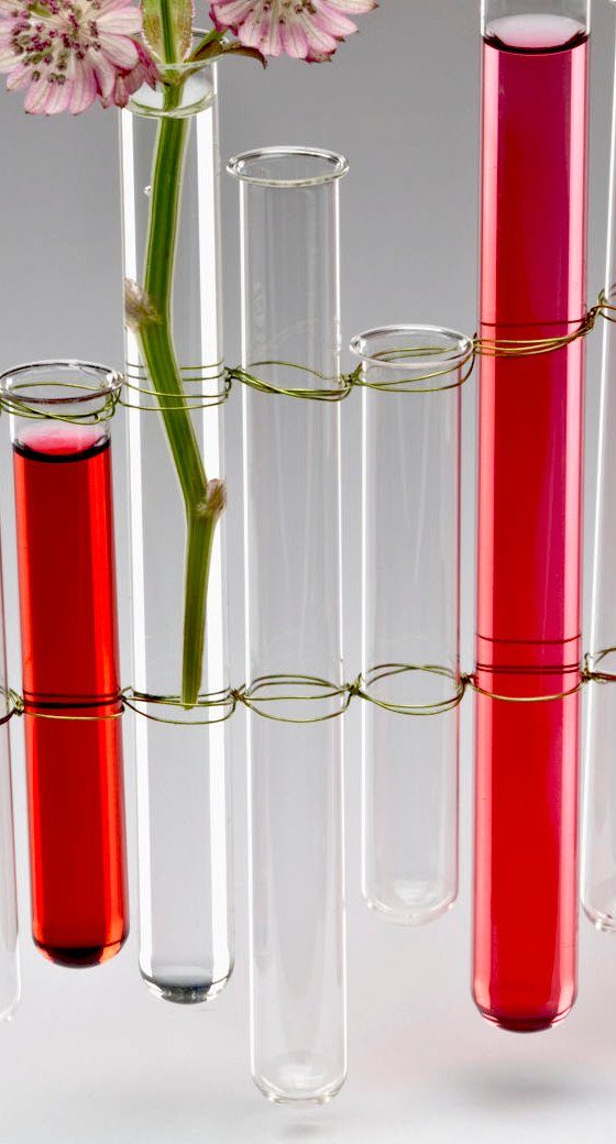 Sandra Rich Dekovase TEST TUBES günstig online kaufen