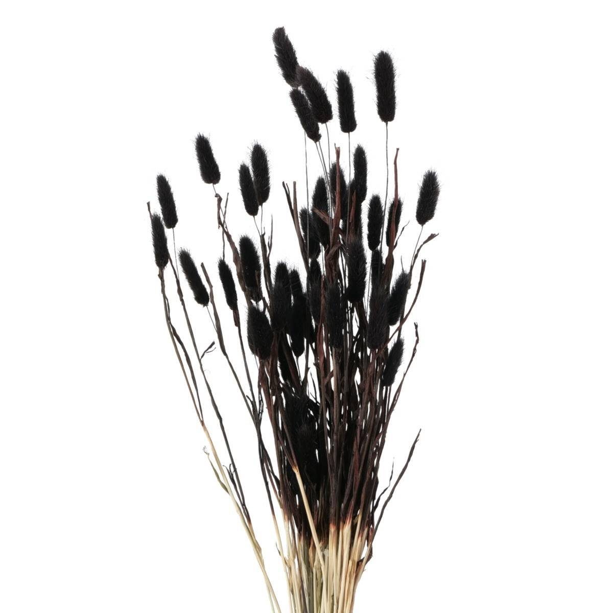 Kunstpflanze Deko-Zweige für Vase, getrocknet, 70 cm Zimmerpflanze, BOLTZE GRUPPE GmbH, Höhe 70 cm
