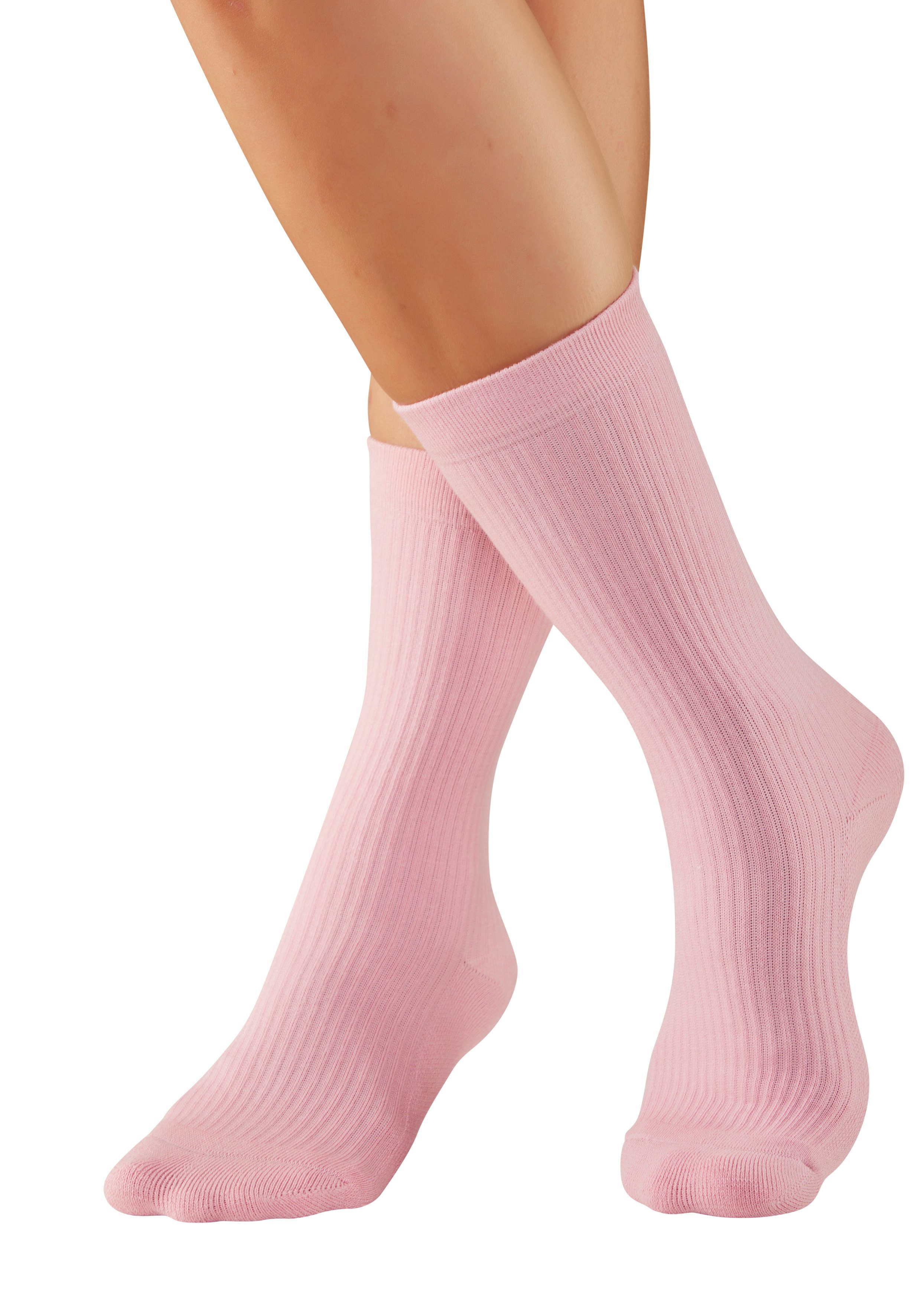 Copenhagen Studios Tennissocken (Packung, 3-Paar) mit großem Schriftzug