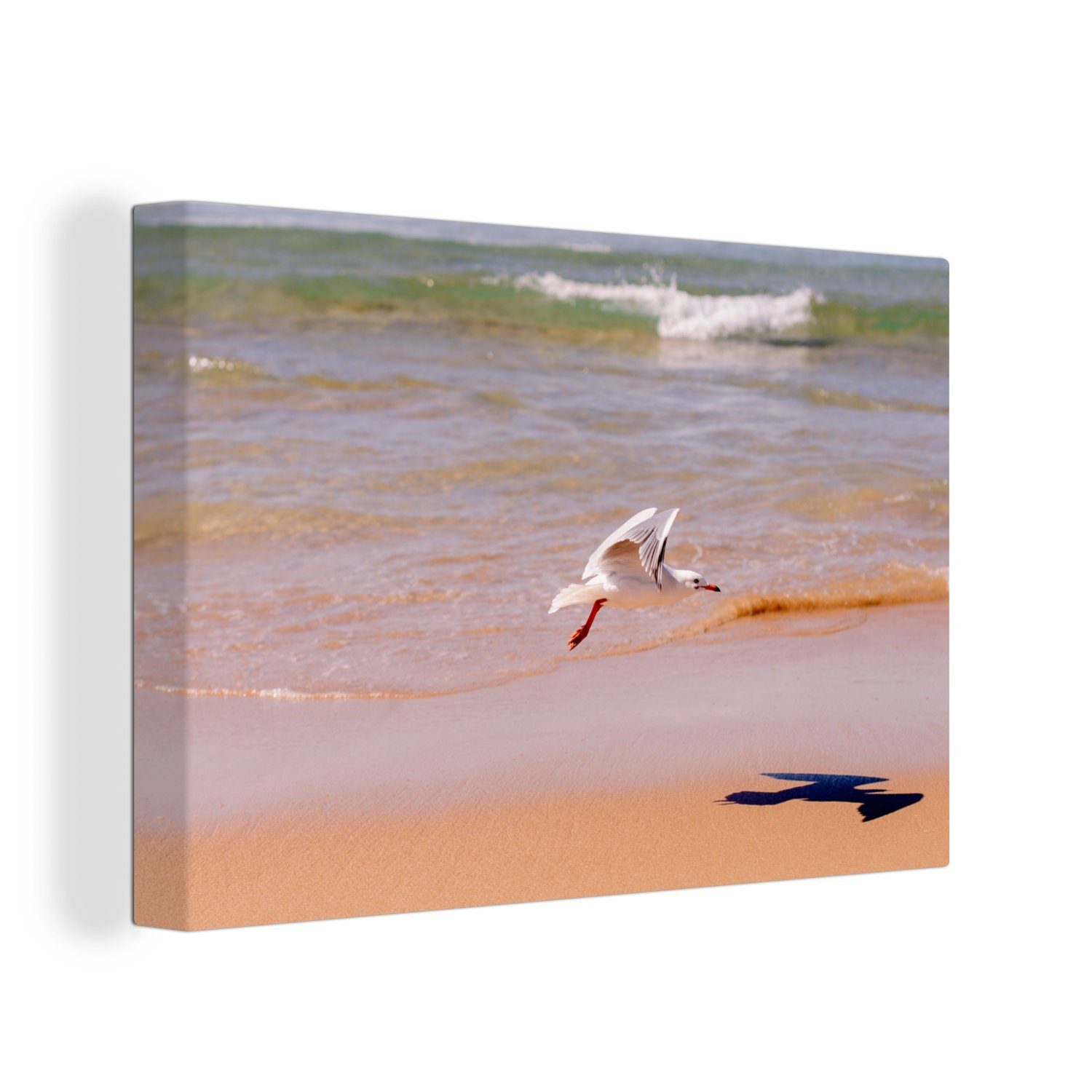 Leinwandbild St), über fliegt Weißkopfmöwe Wanddeko, (1 OneMillionCanvasses® den Strand, cm Wandbild Aufhängefertig, 30x20 tief Leinwandbilder,