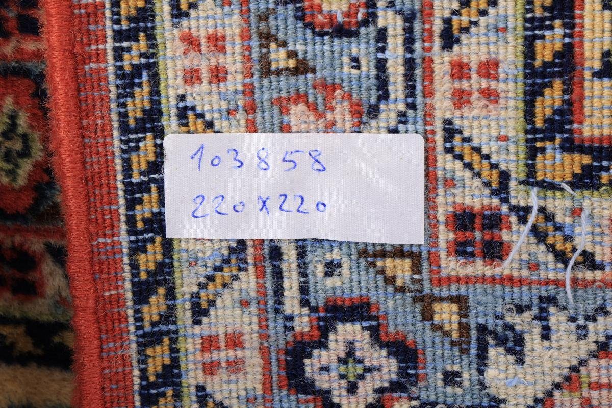 Orientteppich Indo Quadratisch, Täbriz 220x220 Nain Höhe: rechteckig, 12 Handgeknüpfter Orientteppich Trading, mm