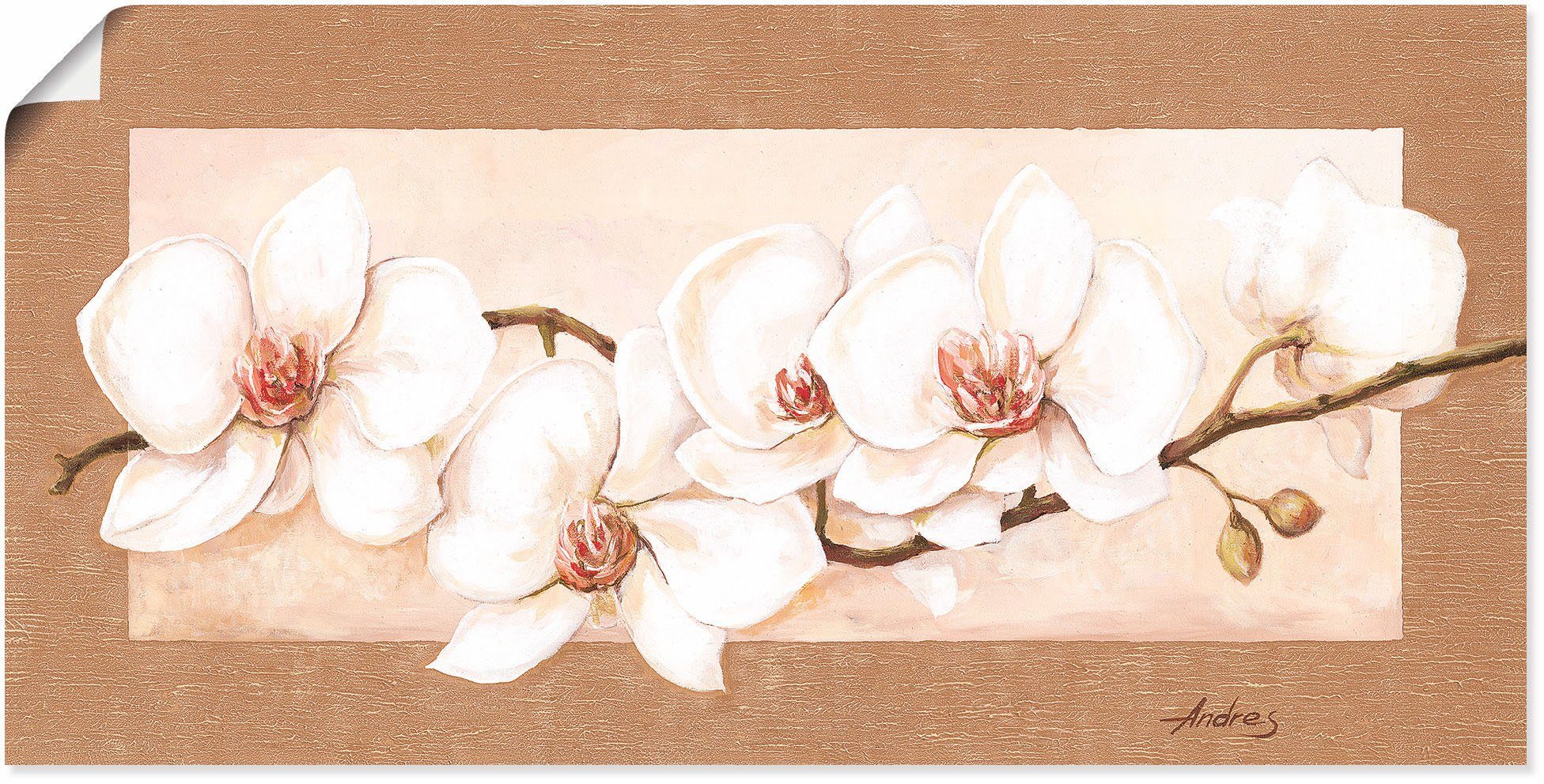 Artland Wandbild Orchideenzweig, Blumenbilder (1 St), als Alubild,  Leinwandbild, Wandaufkleber oder Poster in versch. Größen | Poster
