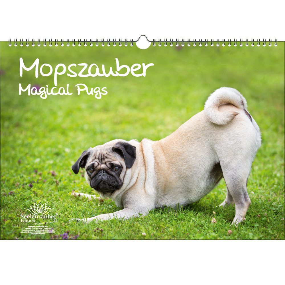 Seelenzauber ewige Kalender Mopszauber DIN A3 Immerwährender Kalender 