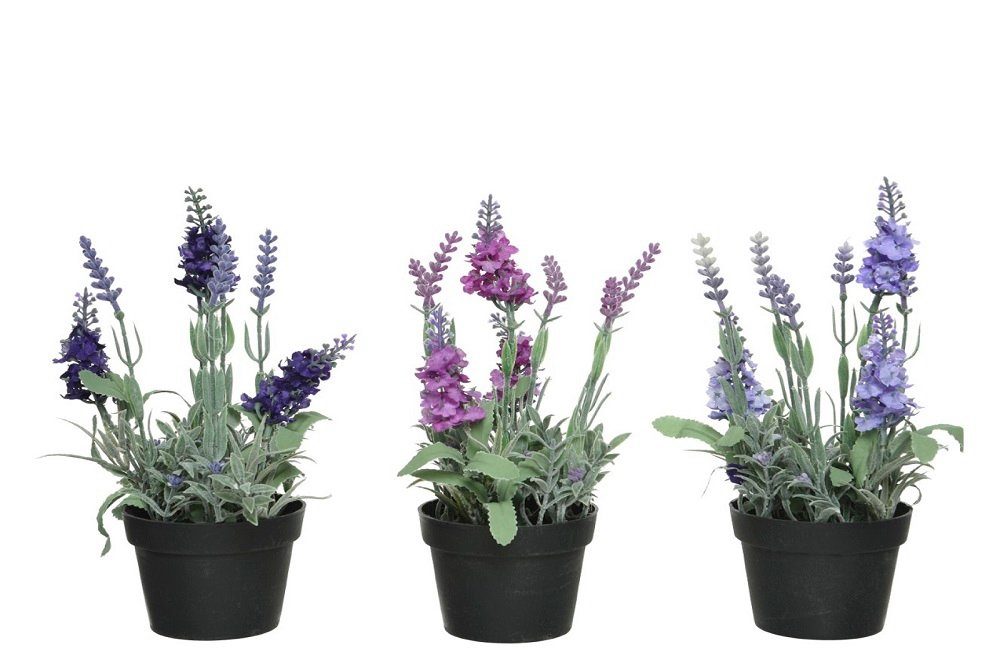 Kunstblume Lavendel im Topf Deko Kunstblume Kunstpflanze 3er Set, Kaemingk