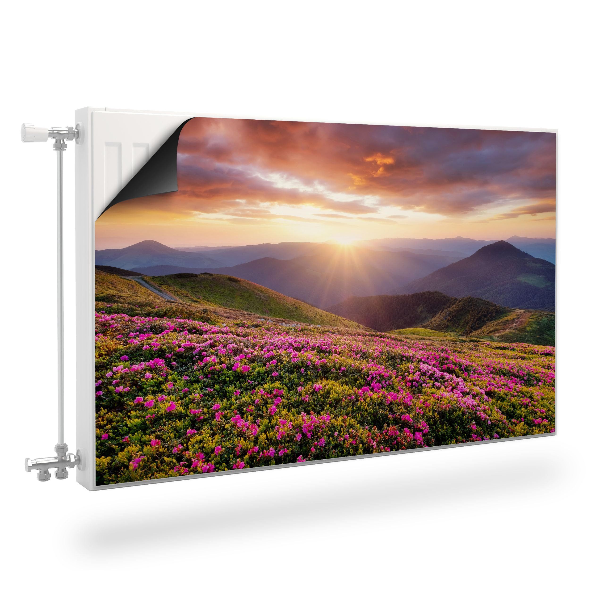 Muralo Magnetfolie Heizkörperverkleidung Rosa Blumen Berglandschaft – Heizkörperabdeckung, 80x60 cm, abriebfest, abwischbar