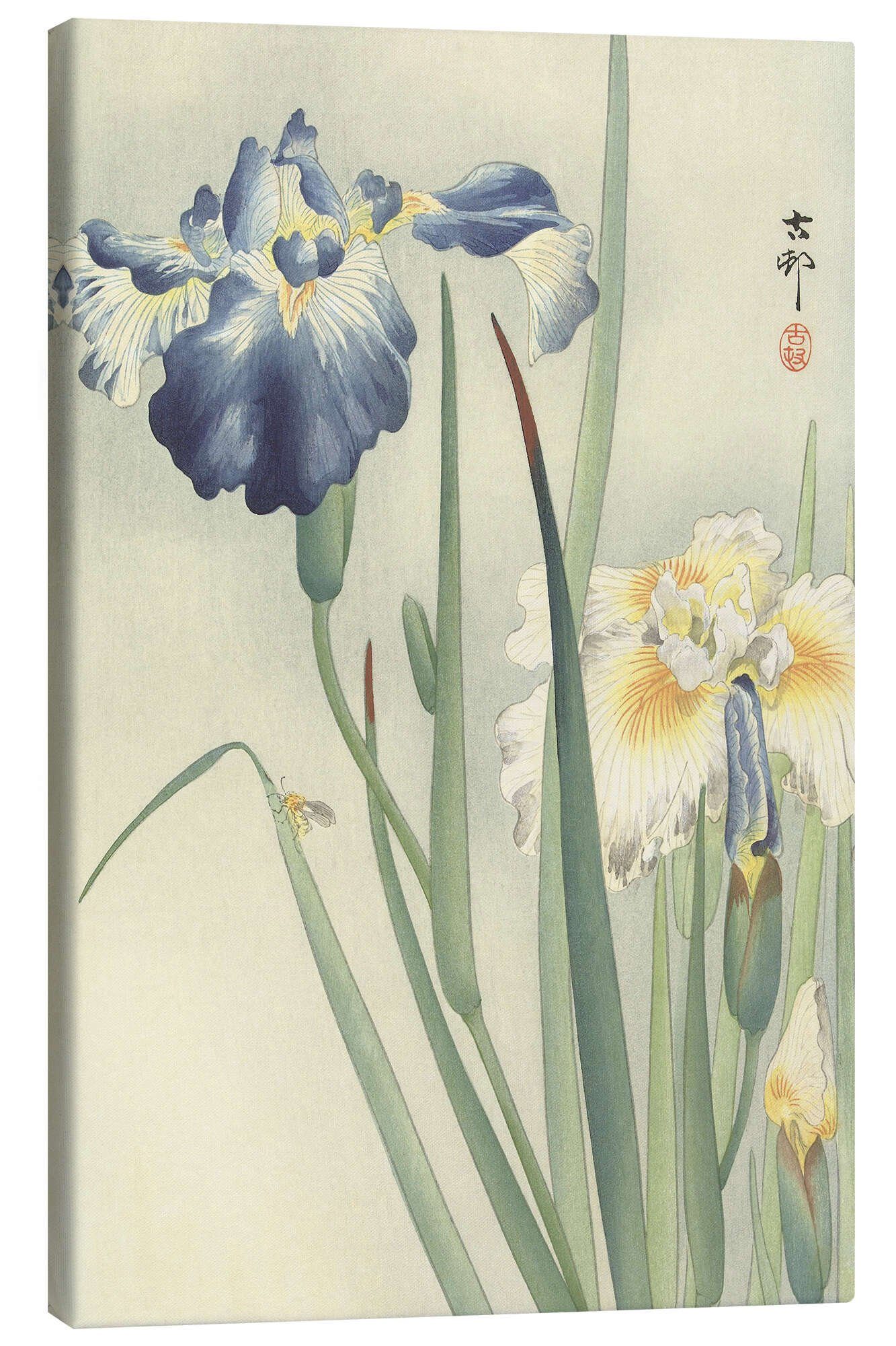 Leinwandbild Ohara Koson