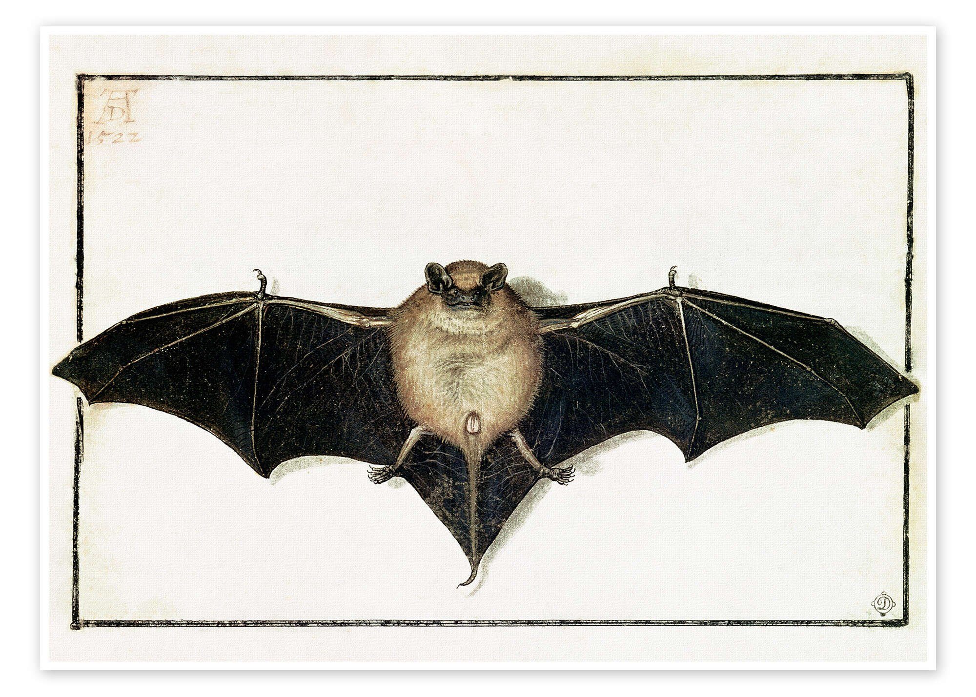 Poster Albrecht Dürer