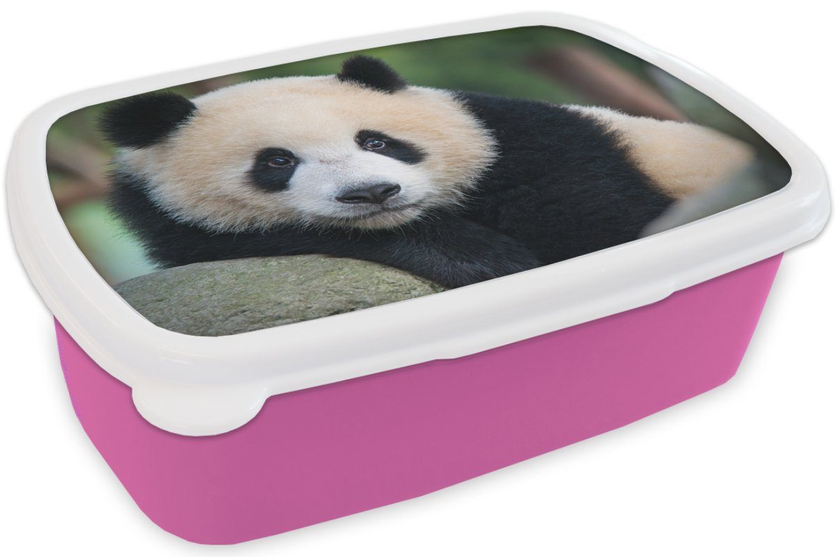 Mädchen, Brotdose Panda für Snackbox, - Stein, - Brotbox - Kunststoff Wildtiere MuchoWow Porträt (2-tlg), Lunchbox Kinder, Erwachsene, rosa Kunststoff,