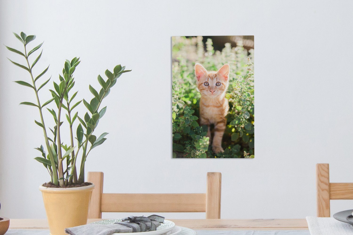 (1 OneMillionCanvasses® eines Ein Zackenaufhänger, fertig bespannt Kätzchens cm im Leinwandbild inkl. 20x30 Leinwandbild Gebüsch, St), Porträt Gemälde,