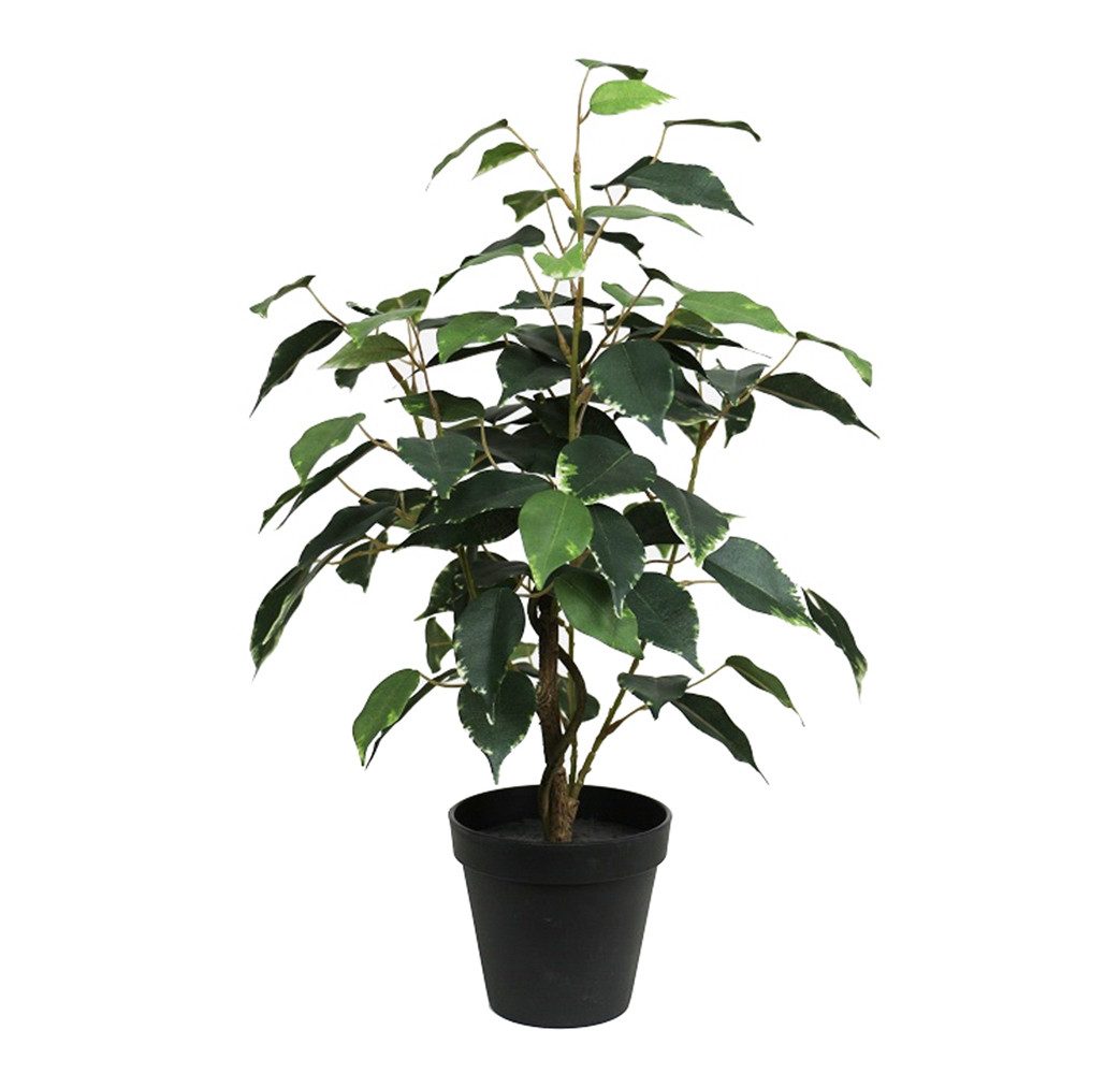 Kunstpflanze Ficus Benjamini im Topf LA Kunstbaum künstliche Pflanzen Birke günstig online kaufen
