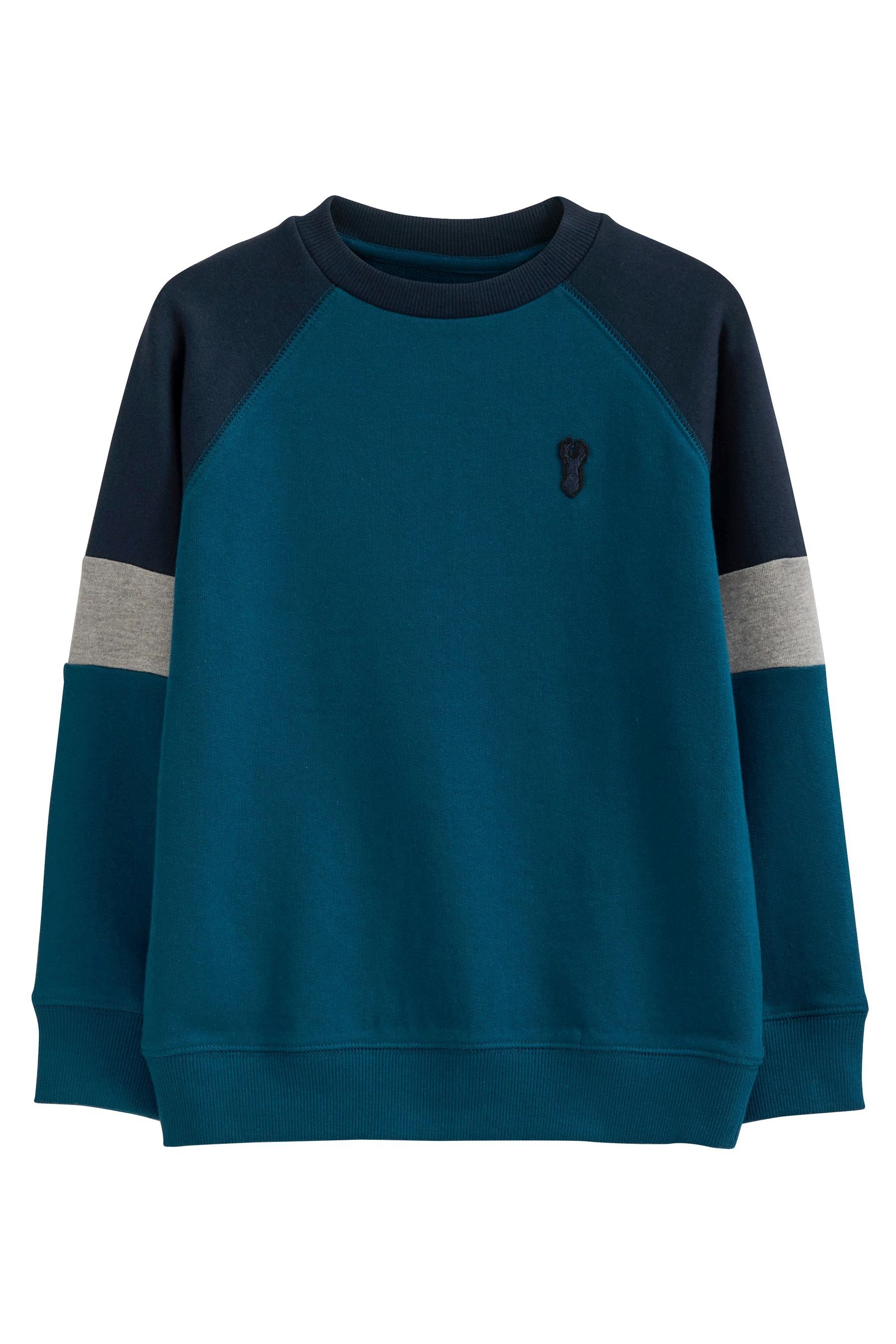 Langärmeliges Raglan-Sweatshirt (1-tlg) Next Langarmshirt