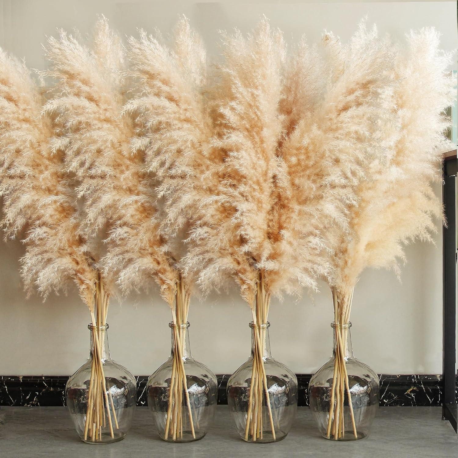 Trockenblume 20er Set Pampas Grass XXL Deko Boho Wohnzimmer Schlafzimmer Badezimmer, Bannifll