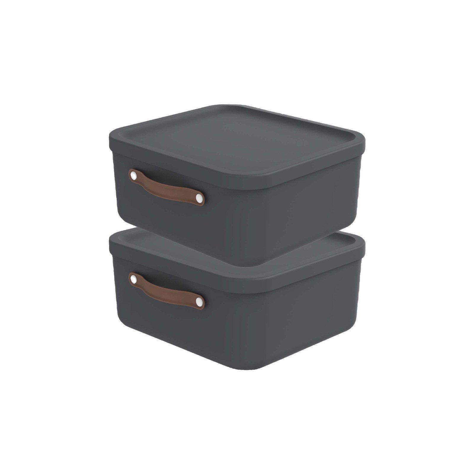 ROTHO Aufbewahrungsbox 2er-Set Kiste mit Deckel Maloja 20l (Aufbewahrungsse günstig online kaufen