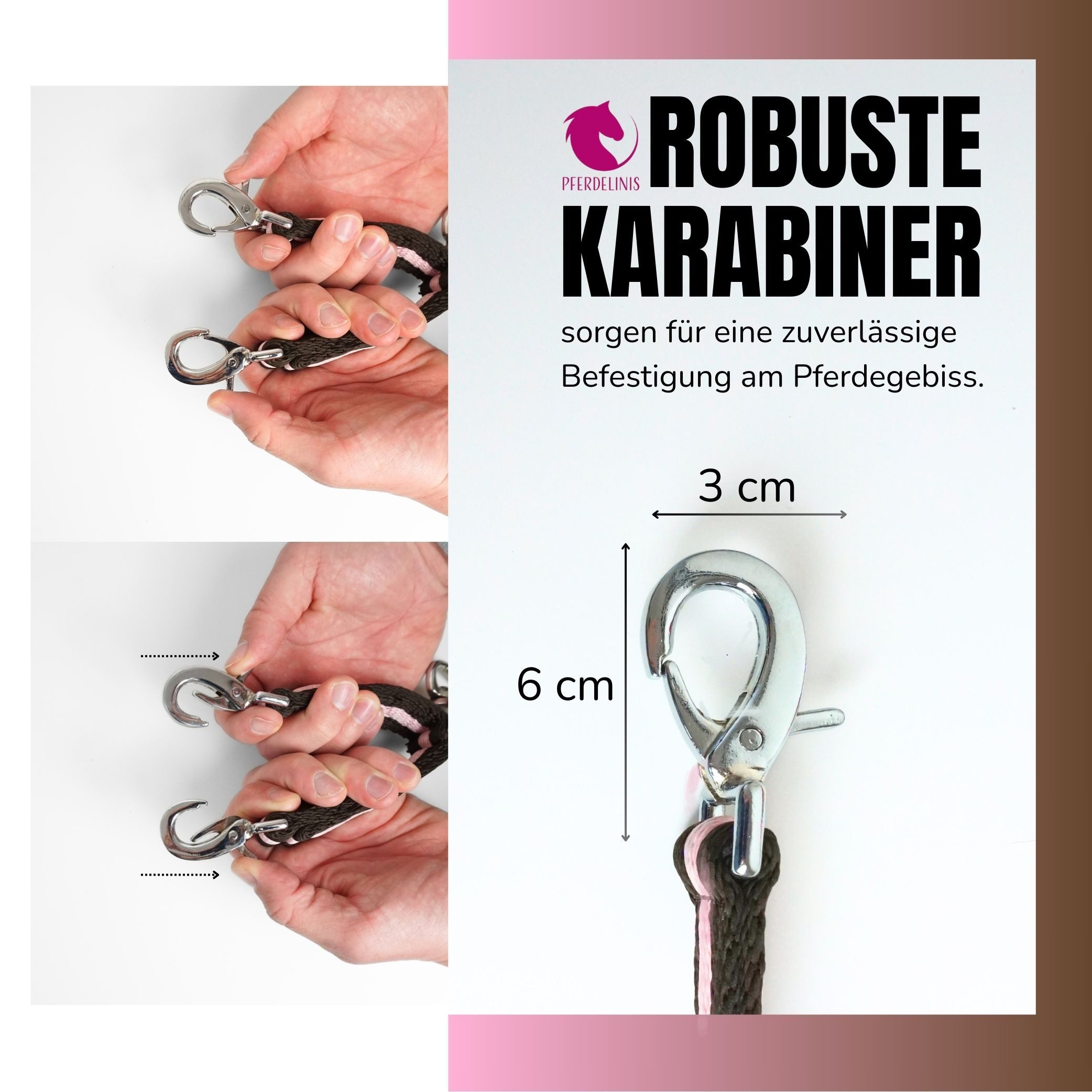 Pferdelinis Führleine Longierbrille Pferd mit Karabiner, für Longieren, Gymnastizieren, Verbindung beider Gebissringe