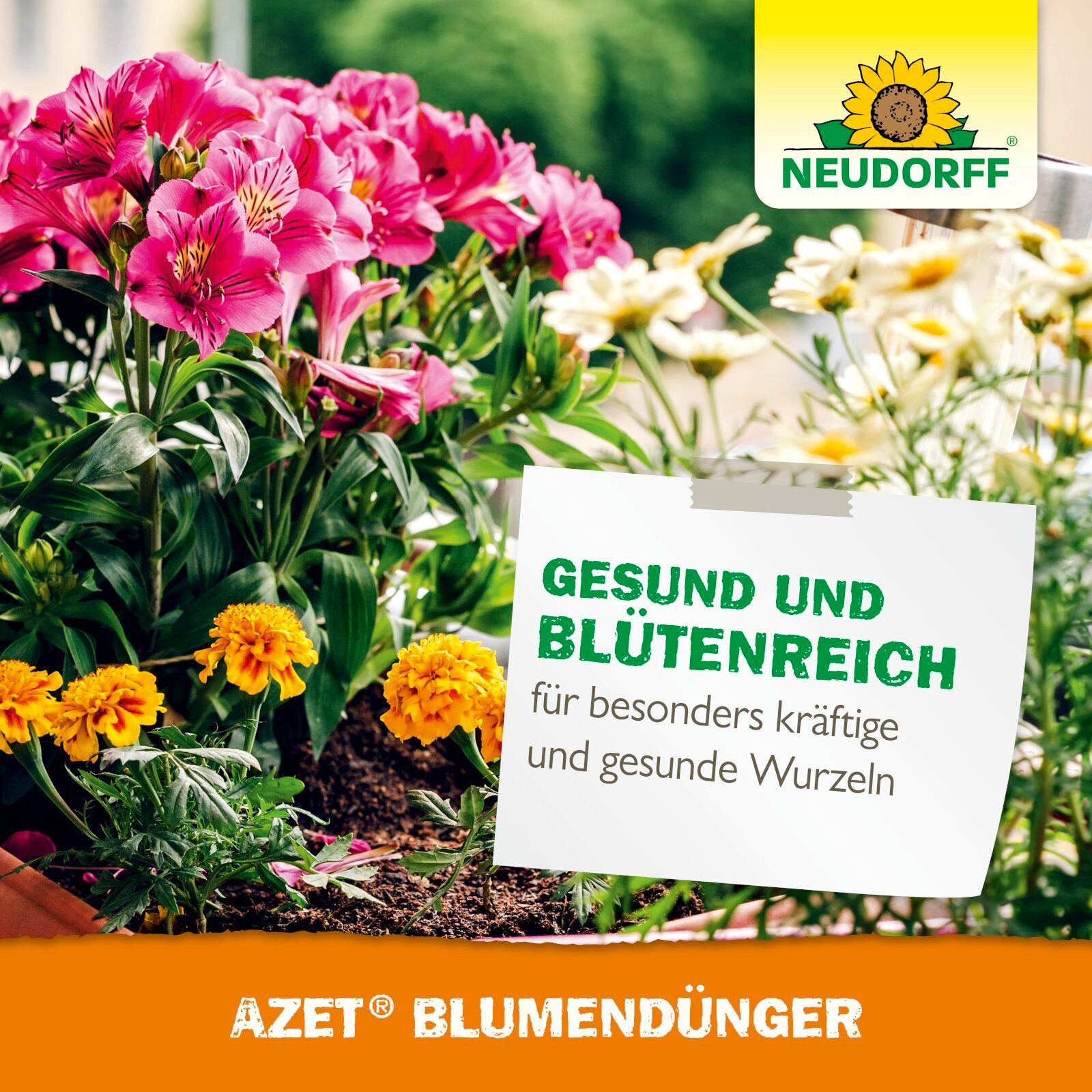 Neudorff Blumendünger Azet BlumenDünger - 250 ml