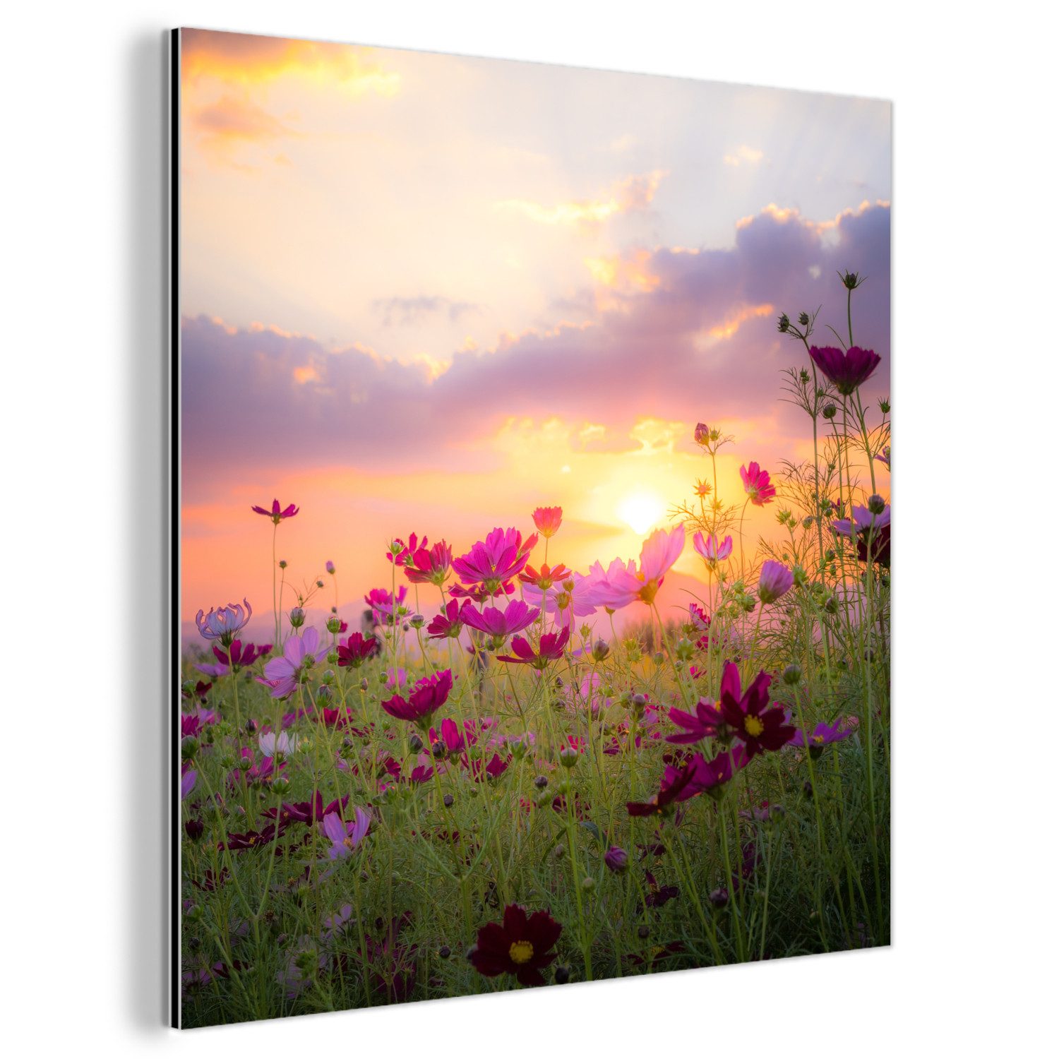 MuchoWow Metallbild Blumen - Rosa - günstig online kaufen