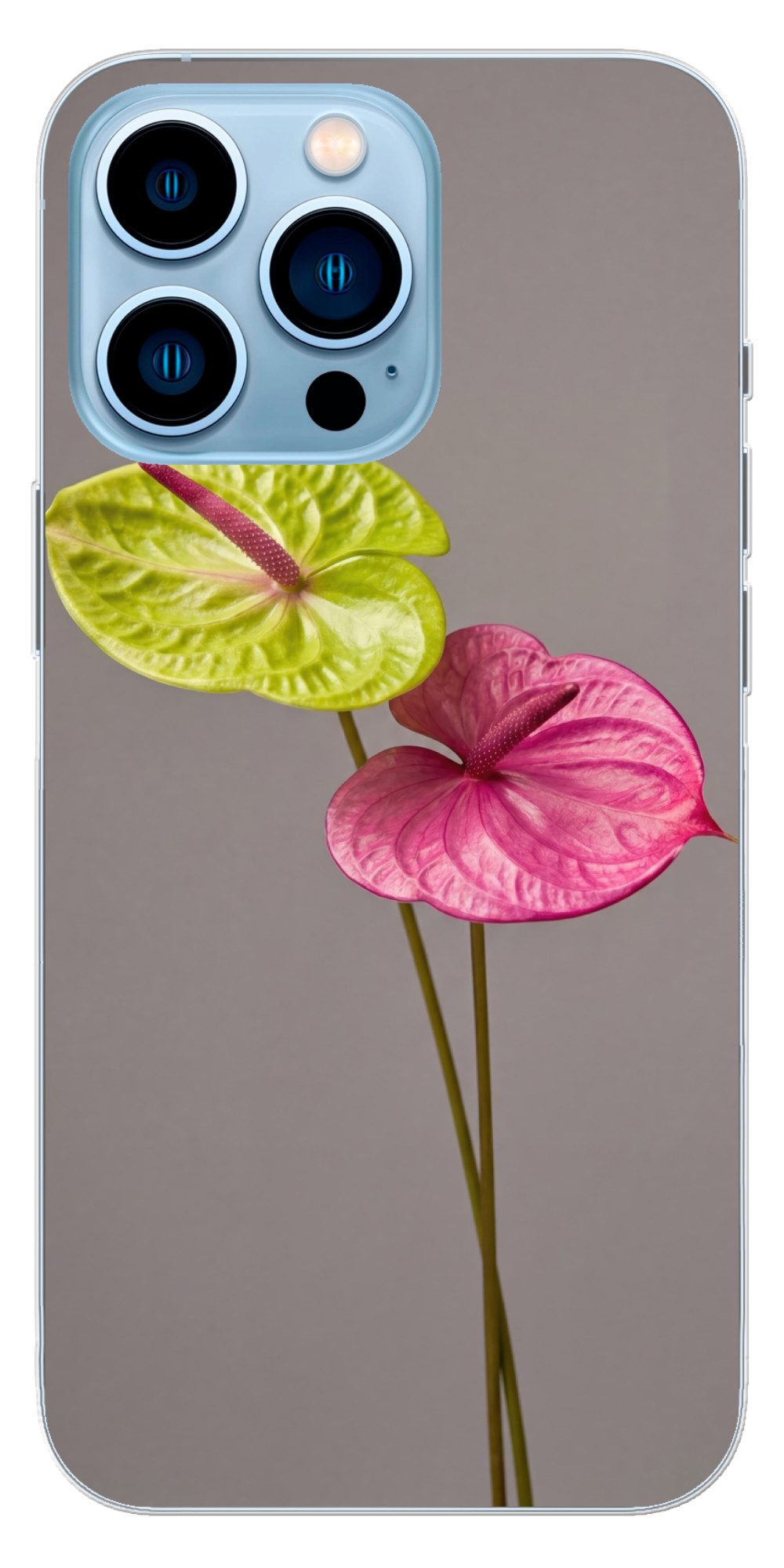 MuchoWow Handyhülle für Apple iPhone 13 Pro Max Pflanzen - Anthurium - Grün - Rosa, Smartphone-Bumper, Print, Handy Schutzhülle Dünn