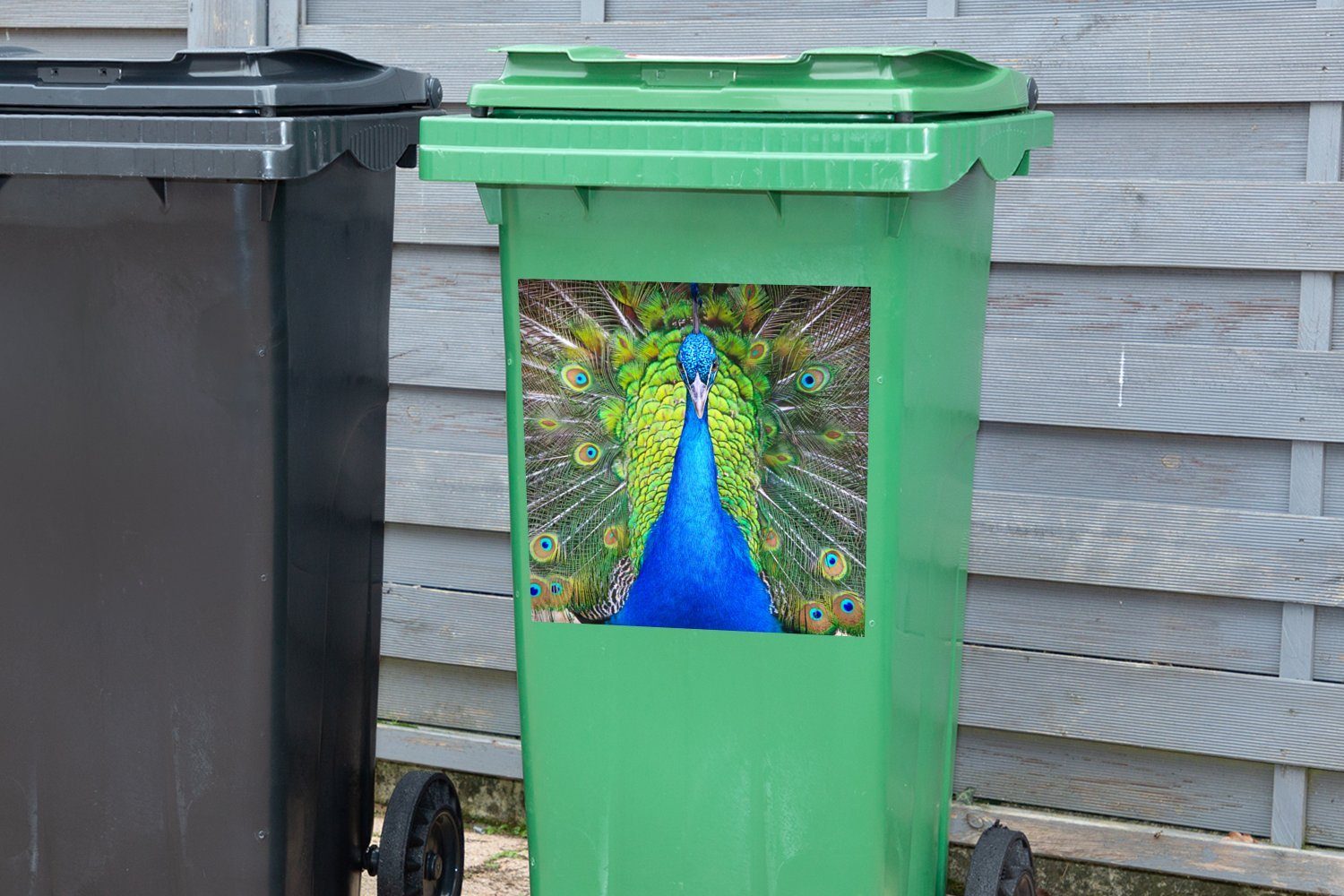 MuchoWow Wandsticker - Grün - Sticker, Container, St), (1 Mülltonne, Mülleimer-aufkleber, Abfalbehälter Pfau Blau