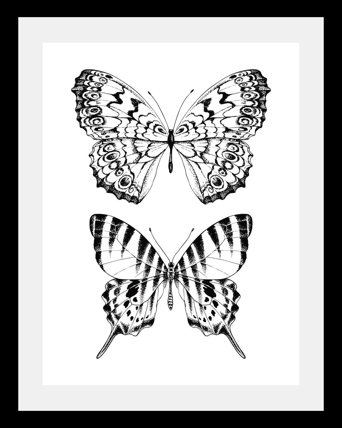 queence Bild Schmetterlinge, in 3 Größen, gerahmt