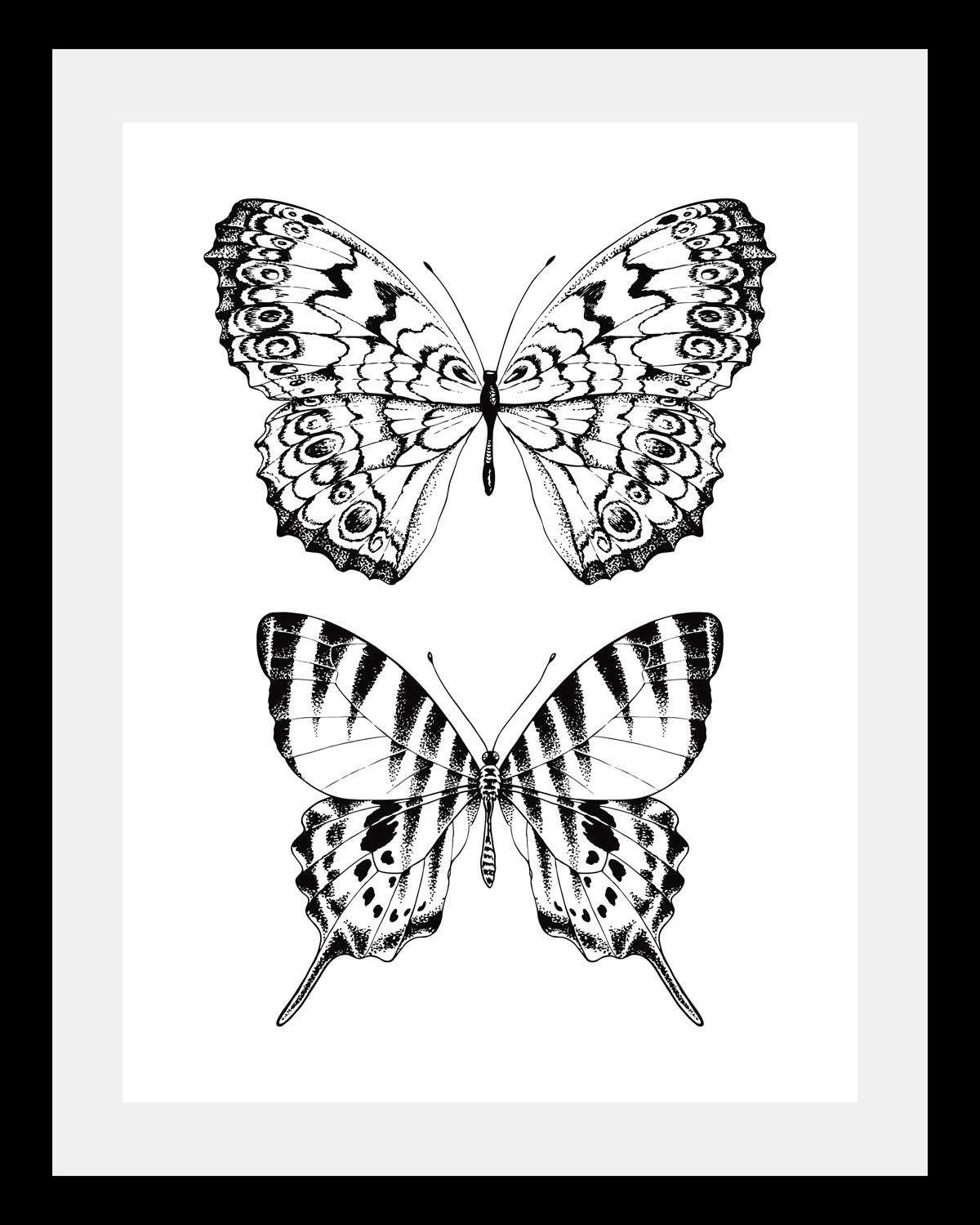 queence Bild Schmetterlinge, Insekten, Kunst, Schmetterlinge, Schwarz-Weiß, Tiere, HD Premium Poster-Druck inkl. Holzrahmen