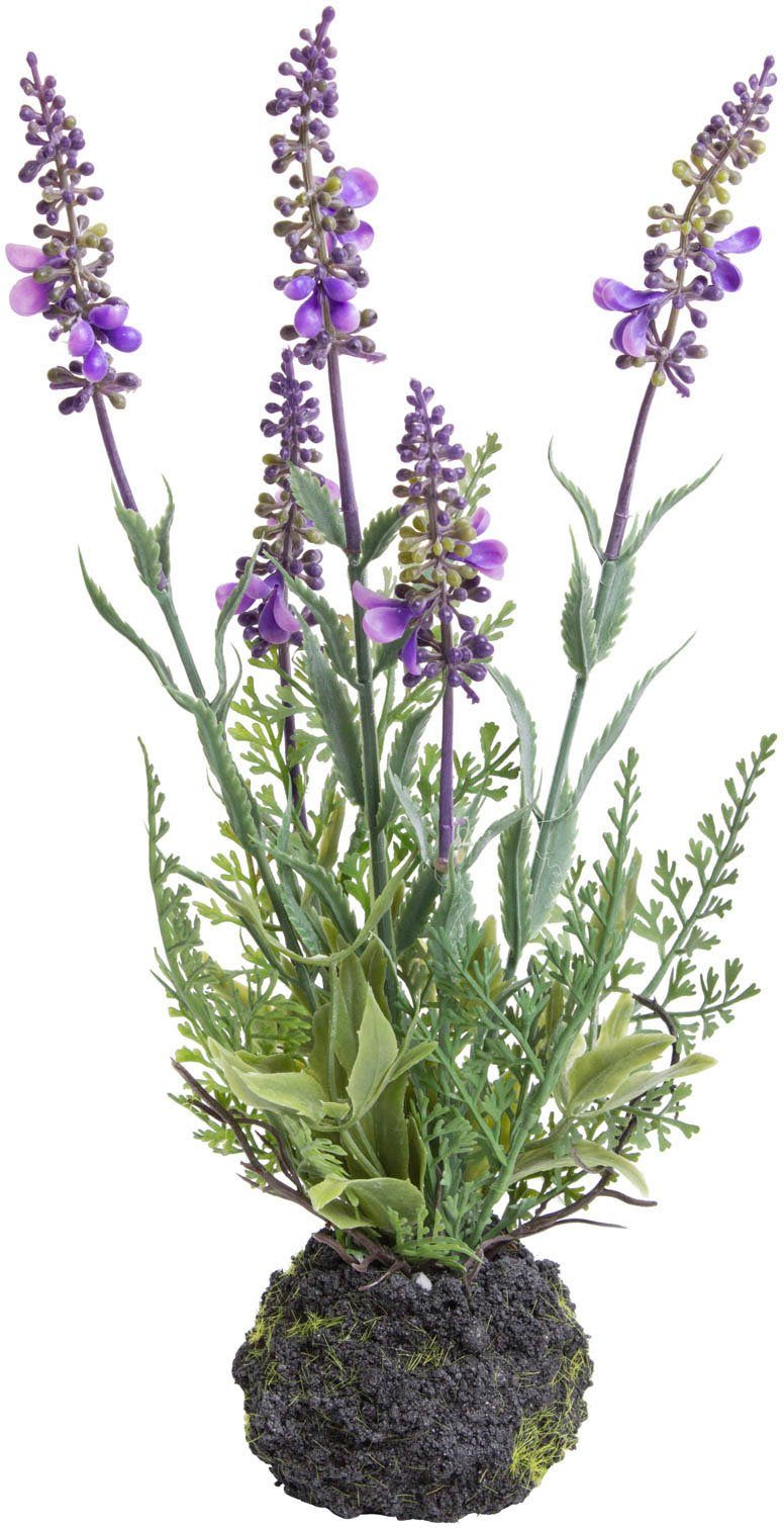 Künstliche Zimmerpflanze Lavendel Höhe Botanic-Haus, Lavendel, 30 cm