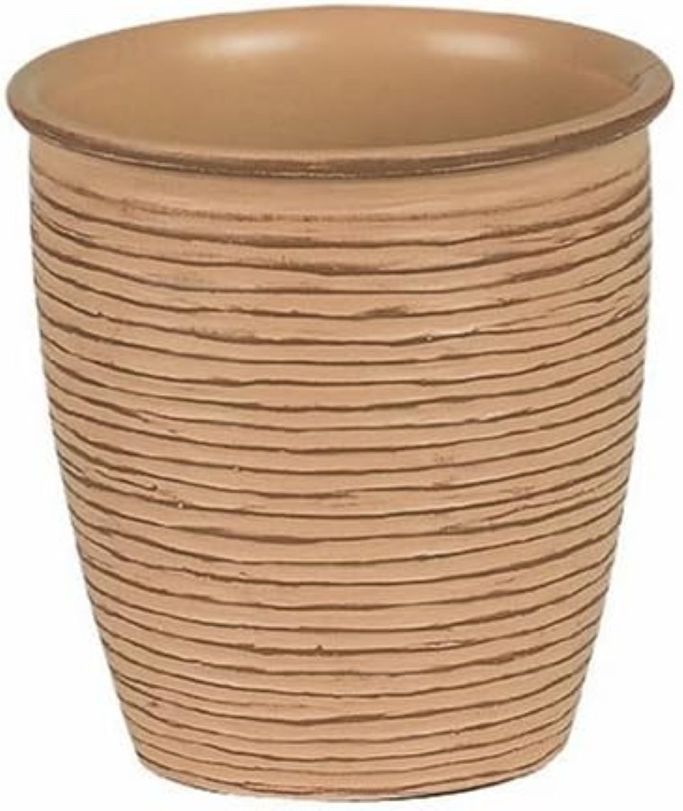 spirella Zahnputzbecher Spirella "Darwin Biscuit Zahnputzbecher, (1-St), Accessoire für das Badezimmer