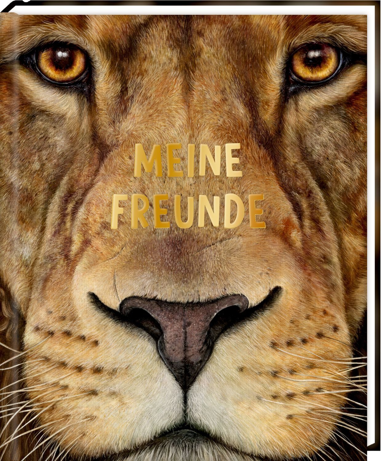 Freundebuch: Lebensgr.-Wilde Tiere Afrikas - Meine Freunde / Lars Baus
