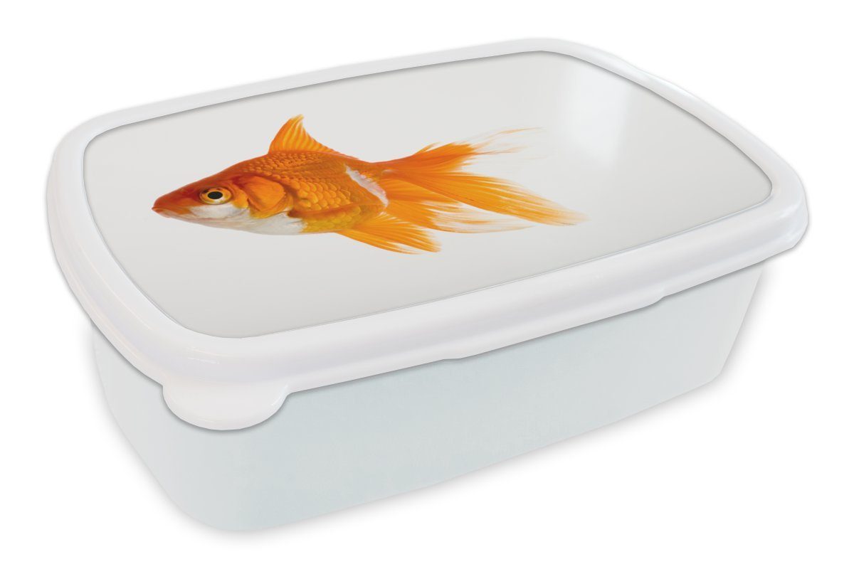 MuchoWow Lunchbox Goldfisch - Fisch - Weiß, Kunststoff, (2-tlg), Brotbox für Kinder und Erwachsene, Brotdose, für Jungs und Mädchen