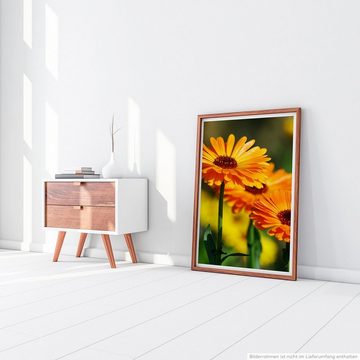 Sinus Art Poster 90x60cm Poster Naturfotografie Orange Calendula Blumen