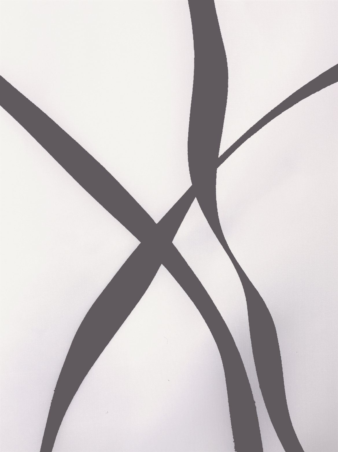 spirella Duschvorhang RIBBON Breite 120 cm, Textil-Duschvorhang, 100% Polye günstig online kaufen