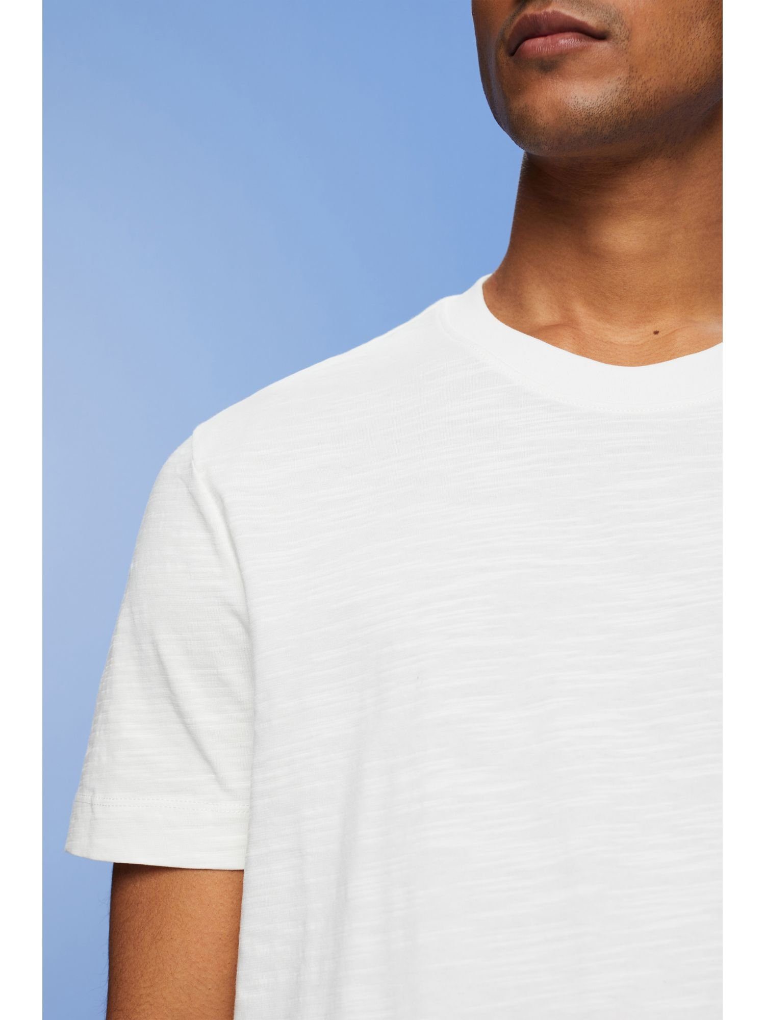 Esprit Collection T-Shirt T-Shirt aus (1-tlg) ICE Baumwolljersey