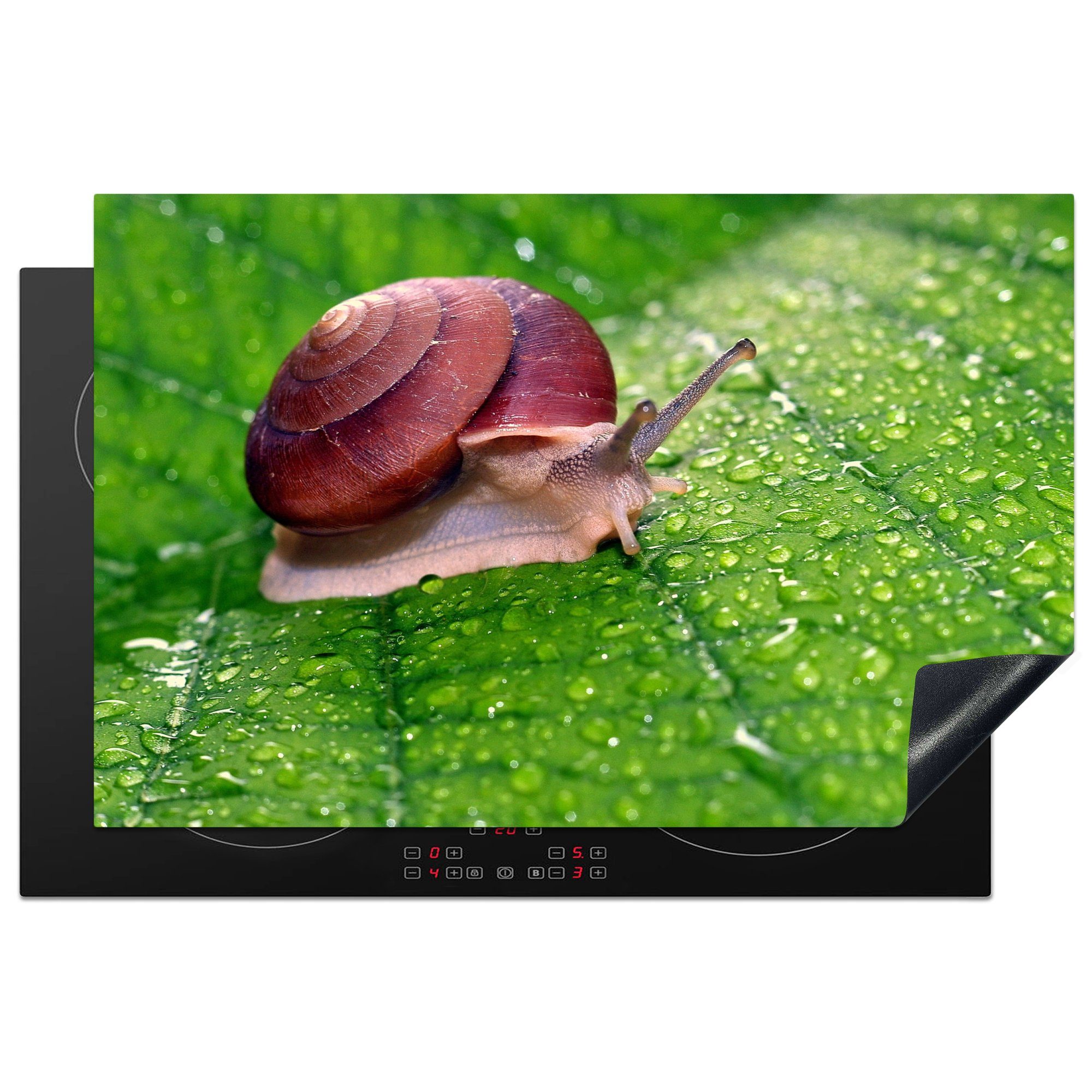 MuchoWow Herdblende-/Abdeckplatte Schnecke sitzt auf einem Blatt im Regen, Vinyl, (1 tlg), 81x52 cm, Induktionskochfeld Schutz für die küche, Ceranfeldabdeckung