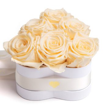 Kunstblume Infinity Rosenbox Herz 6 ewige Rosen I Love You Geschenk für Frauen Rose, ROSEMARIE SCHULZ Heidelberg, Höhe 10 cm, Valentinstag Geschenk für Frau