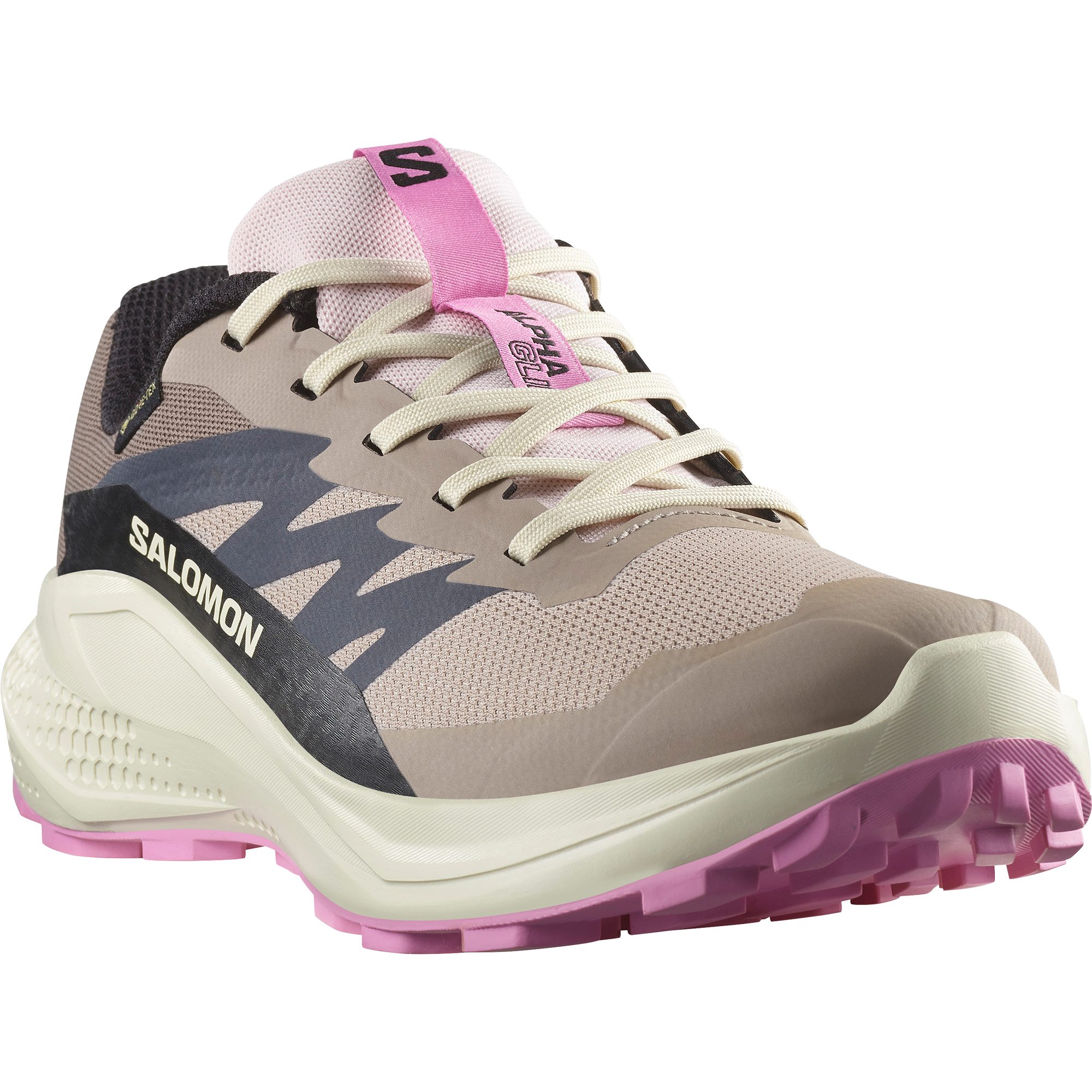 Salomon ALPHAGLIDE GORE-TEX W Laufschuh wasserdicht günstig online kaufen