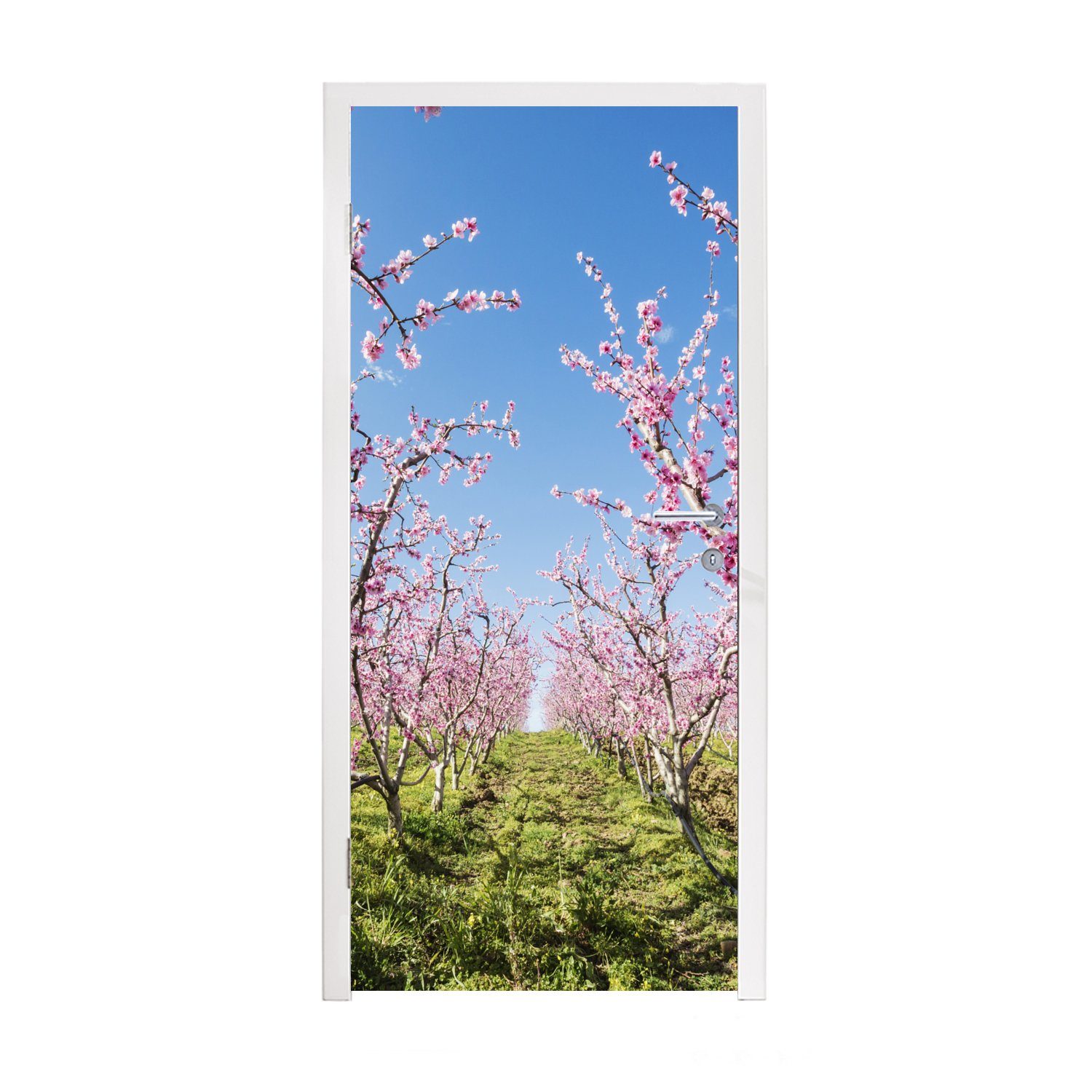 MuchoWow Türtapete Obstbäume - Kirsche - Blüte, Matt, bedruckt, (1 St), Fototapete für Tür, Türaufkleber, 75x205 cm