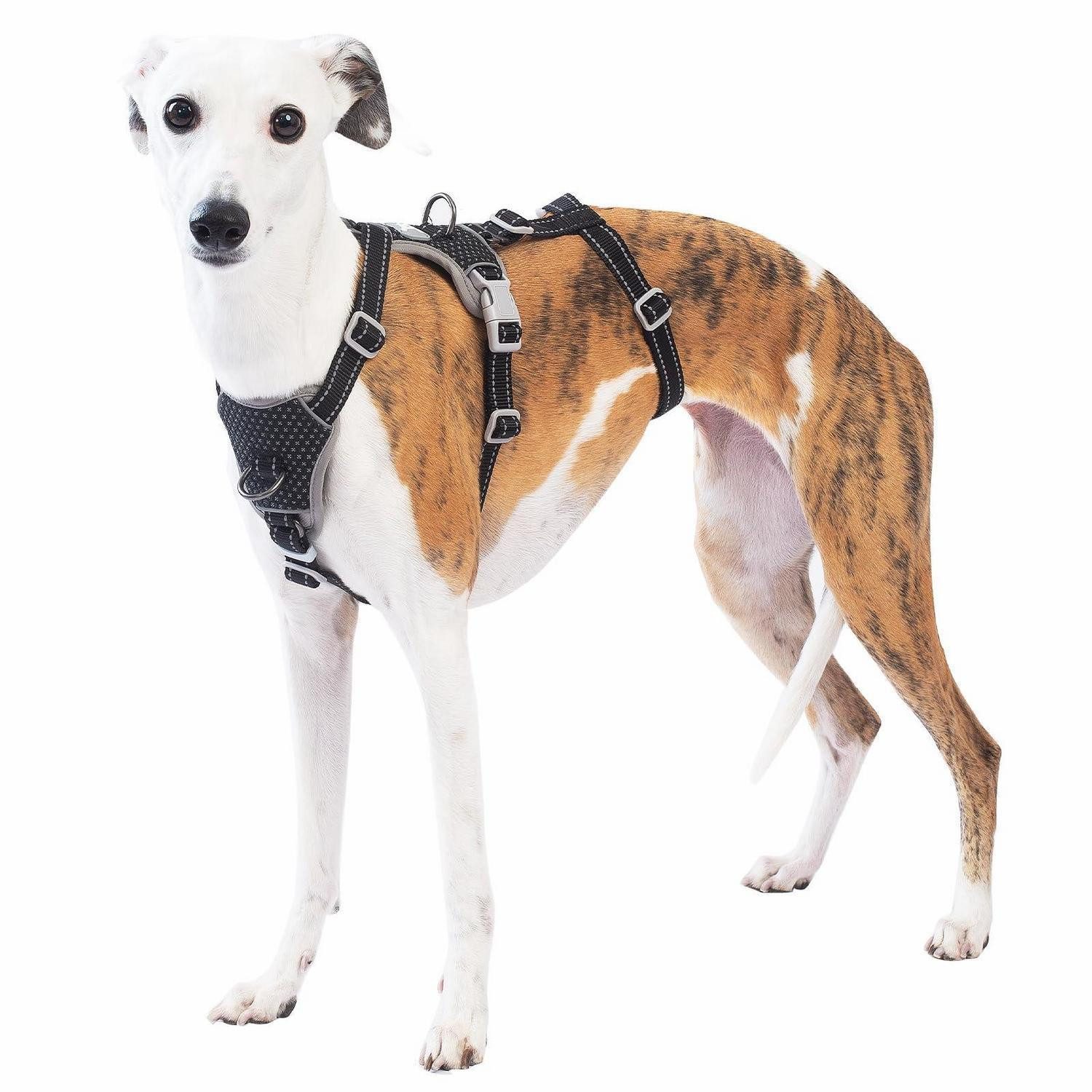 LuxusKollektion Hunde-Sicherheitsgeschirr Sicherheitsgeschirr Hund ausbruchsicher reflektierend M Schwarz, Textil