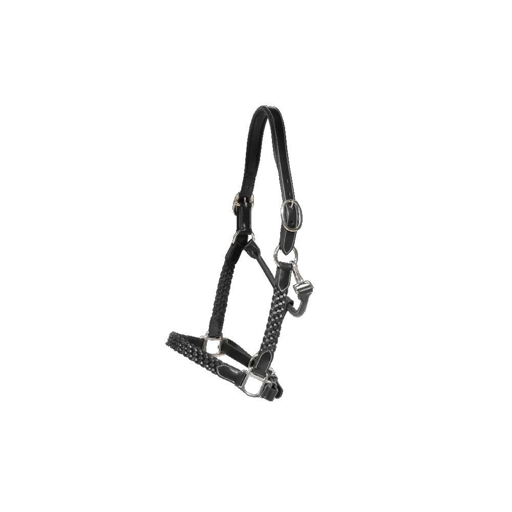 Trensenzaum Dyon Plaited Halfter