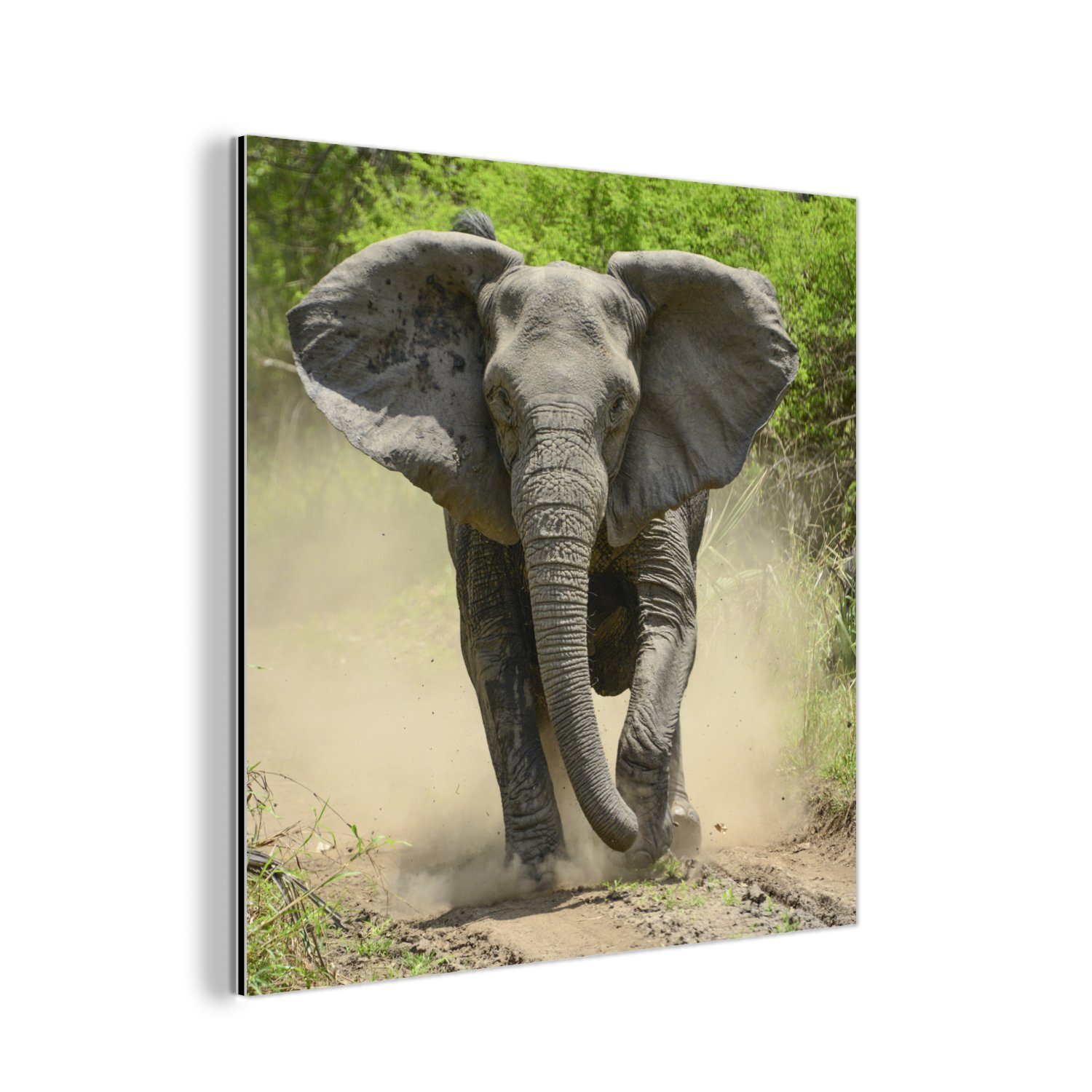 MuchoWow Metallbild Laufender Elefant, (1 St), Alu-Dibond-Druck, Gemälde aus Metall, Aluminium deko