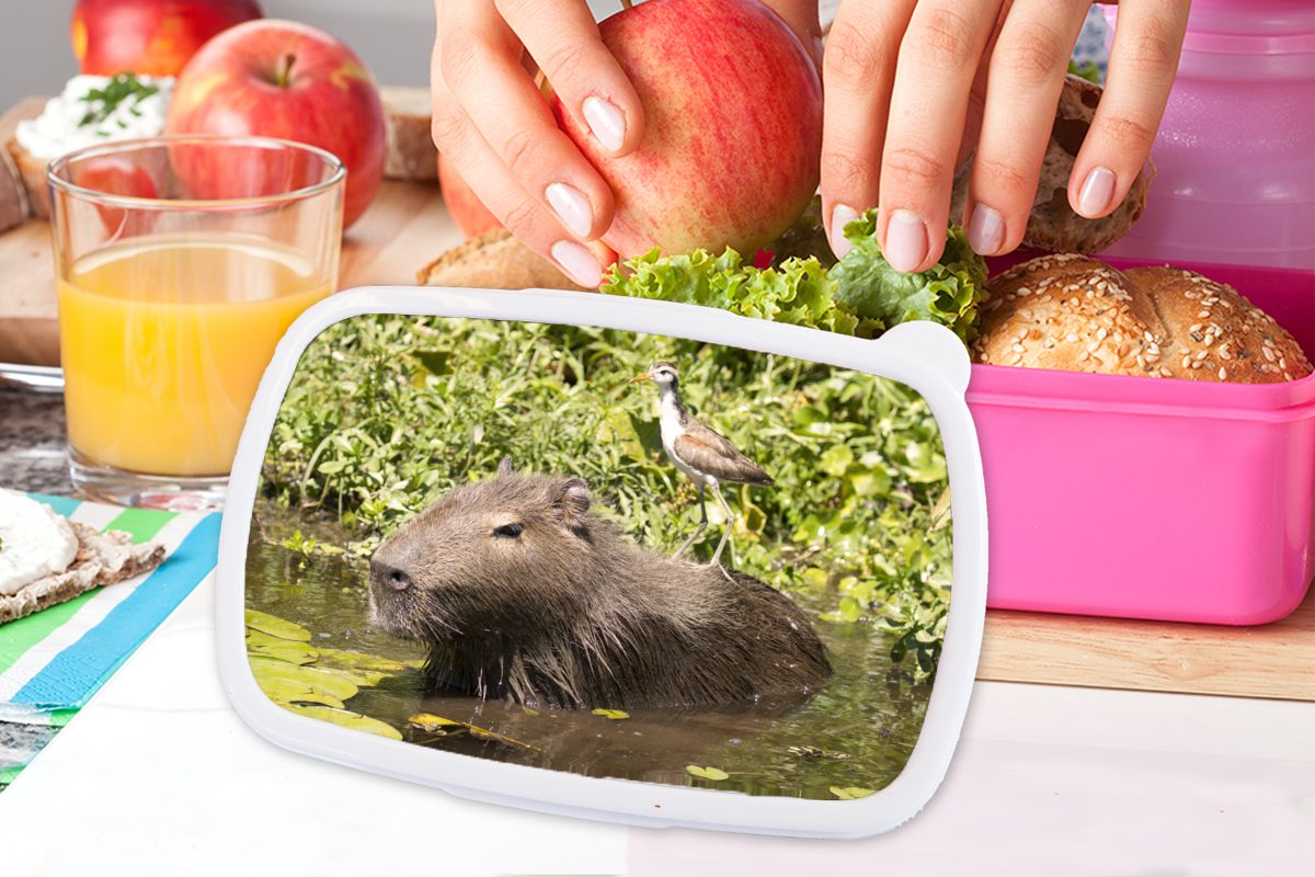 im Wasser Kunststoff Ein Lunchbox rosa MuchoWow einem (2-tlg), Snackbox, für Mädchen, Kunststoff, Erwachsene, sitzt Kinder, Brotdose mit darauf, Brotbox Vogel Wasserschwein