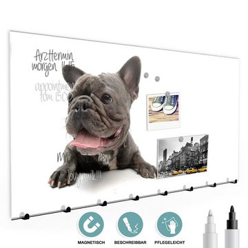 Primedeco Garderobenpaneel Magnetwand und Memoboard aus Glas Bulldogge französisch