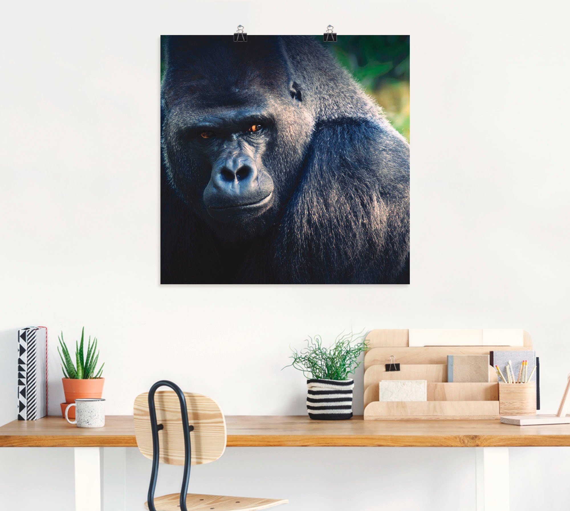 (1 Poster Gorilla, in Artland Wildtiere Wandaufkleber Wandbild Größen als St), Leinwandbild, versch. oder