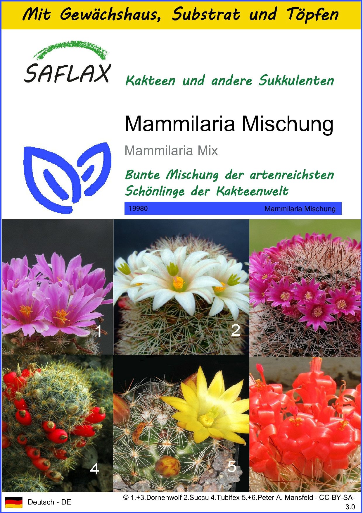 Blumensamen SAFLAX - Anzuchtset - Mammilaria Mischung