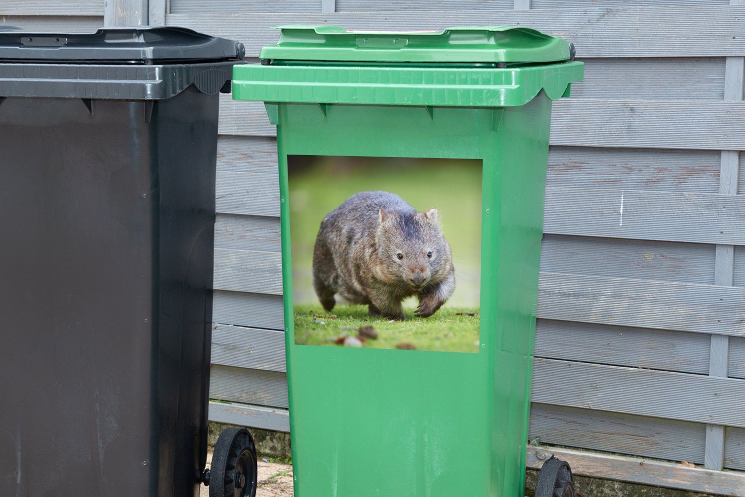 Wiese Wombat Abfalbehälter spielt Wandsticker St), einer (1 Ein Mülltonne, Mülleimer-aufkleber, Container, Sticker, MuchoWow auf