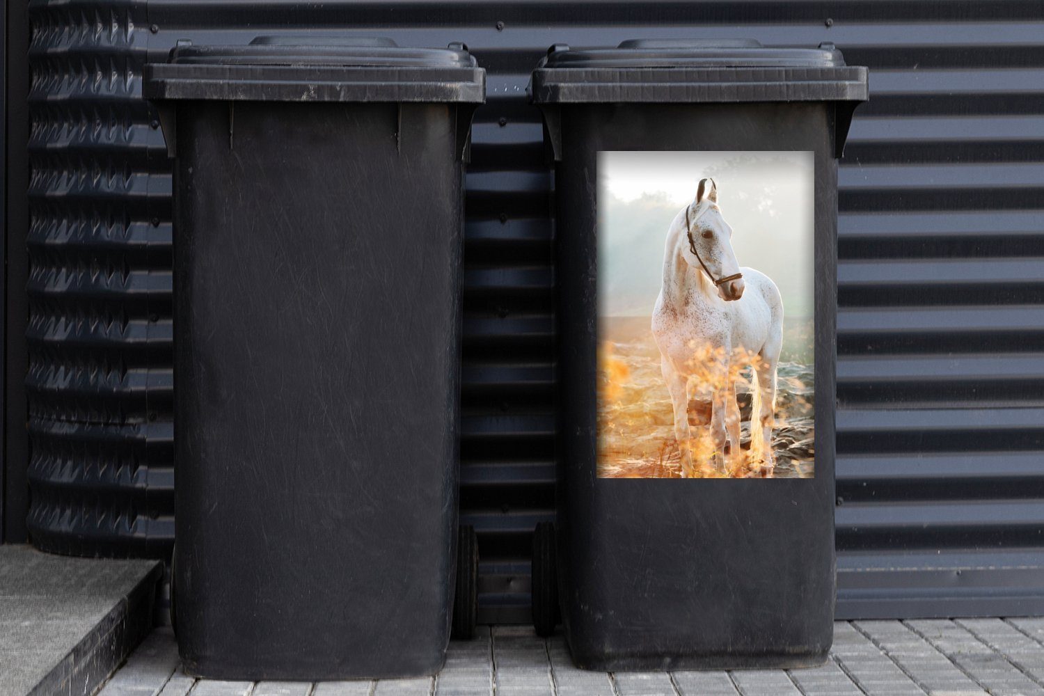 Sonnenstrahlen Wandsticker Mülltonne, (1 Sticker, MuchoWow Abfalbehälter - Container, St), Mülleimer-aufkleber, Marwari - Pferde