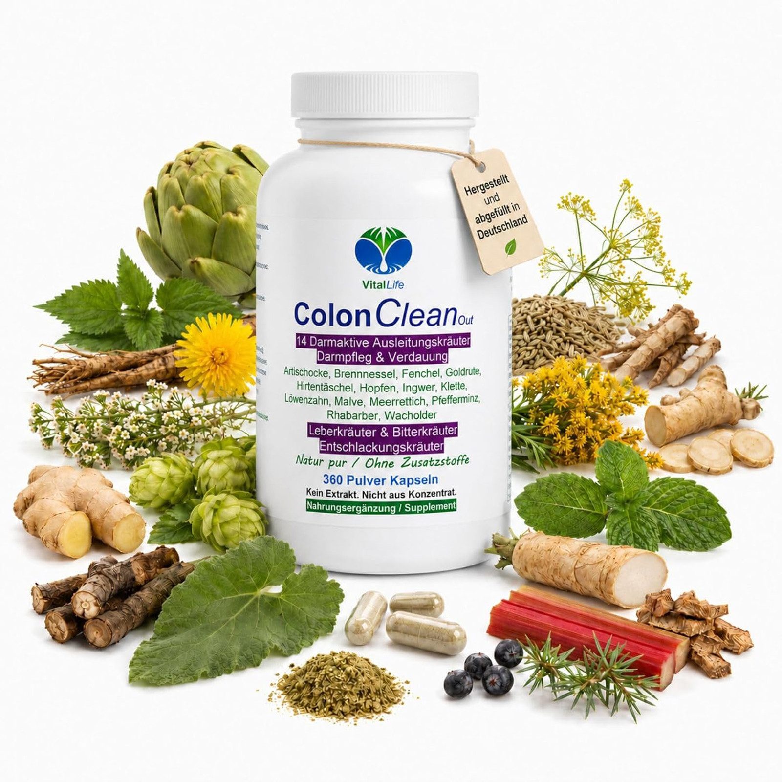 VitalLife Colon CleanOut 14 Kräuter + Bitterstoffe Komplex - Ohne Zusatzstoffe - Kapseln, 1 er Dose à 360 St., 149,4 g, Art. 26540-360