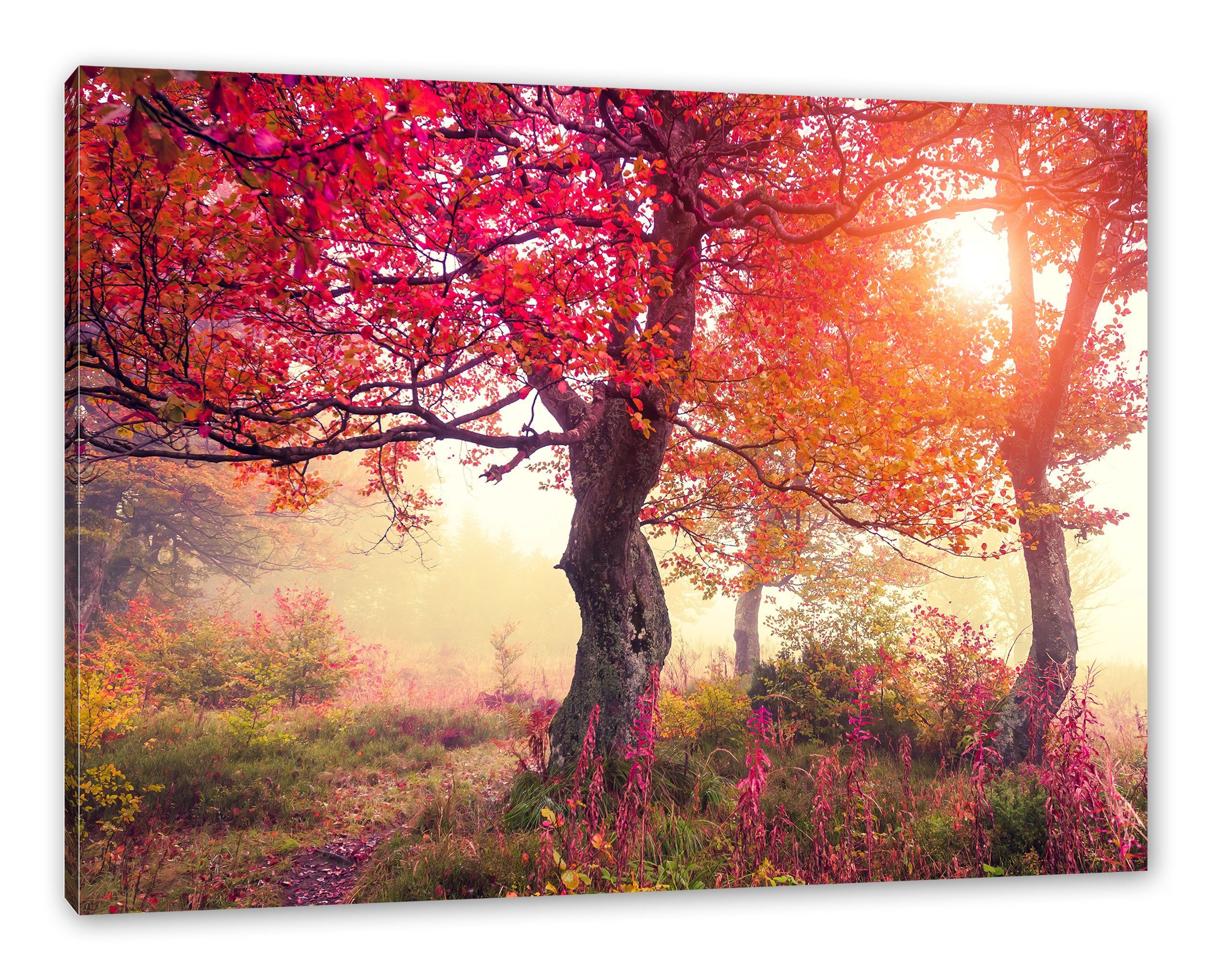 Zackenaufhänger Leinwandbild Traumhafte St), (1 inkl. bespannt, Herbstlandschaft, Traumhafte fertig Leinwandbild Herbstlandschaft Pixxprint