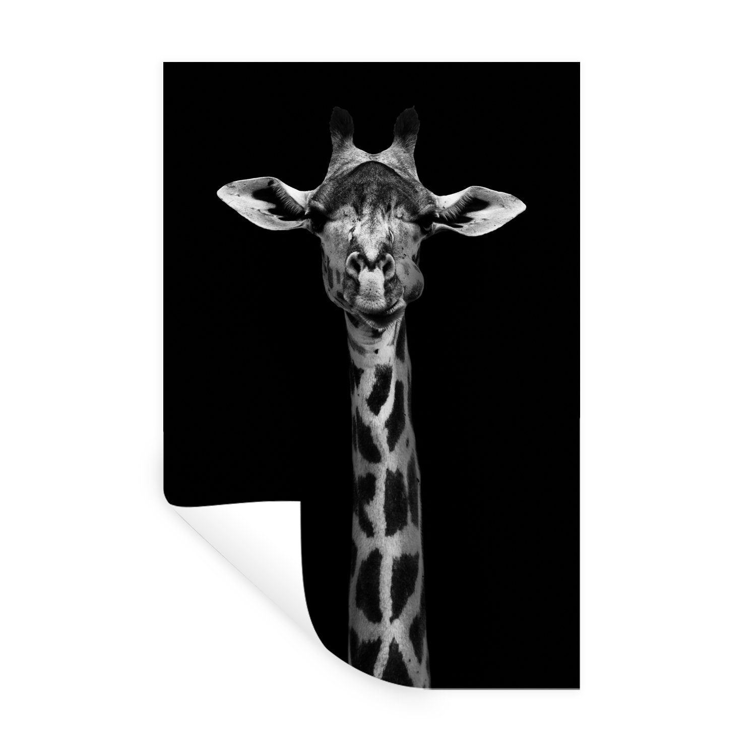 MuchoWow Wandsticker Giraffe - Tiere - Porträt - Schwarz (1 St), Wandaufkleber, Wandtattoo, Selbstklebend, Wohnzimmer, Schlafzimmer